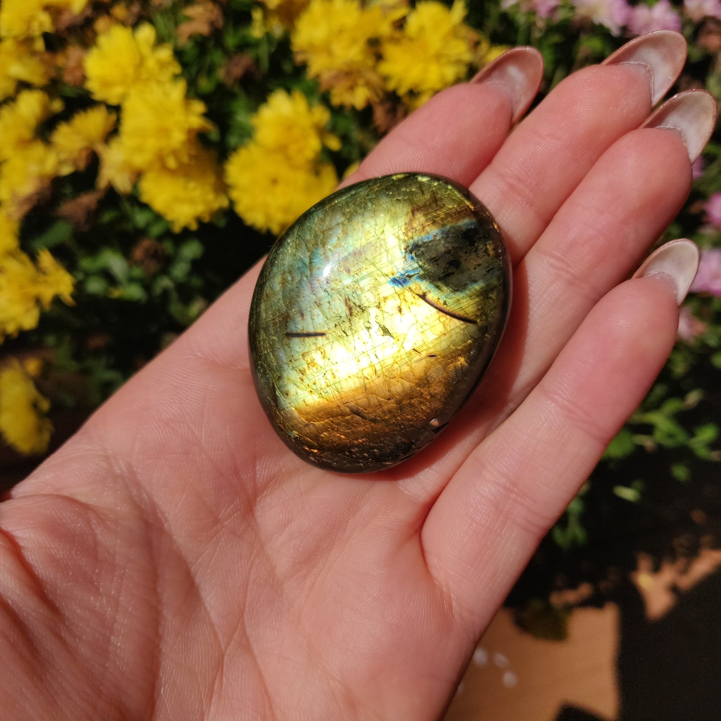 Labradorite Palm Stone (#A23)