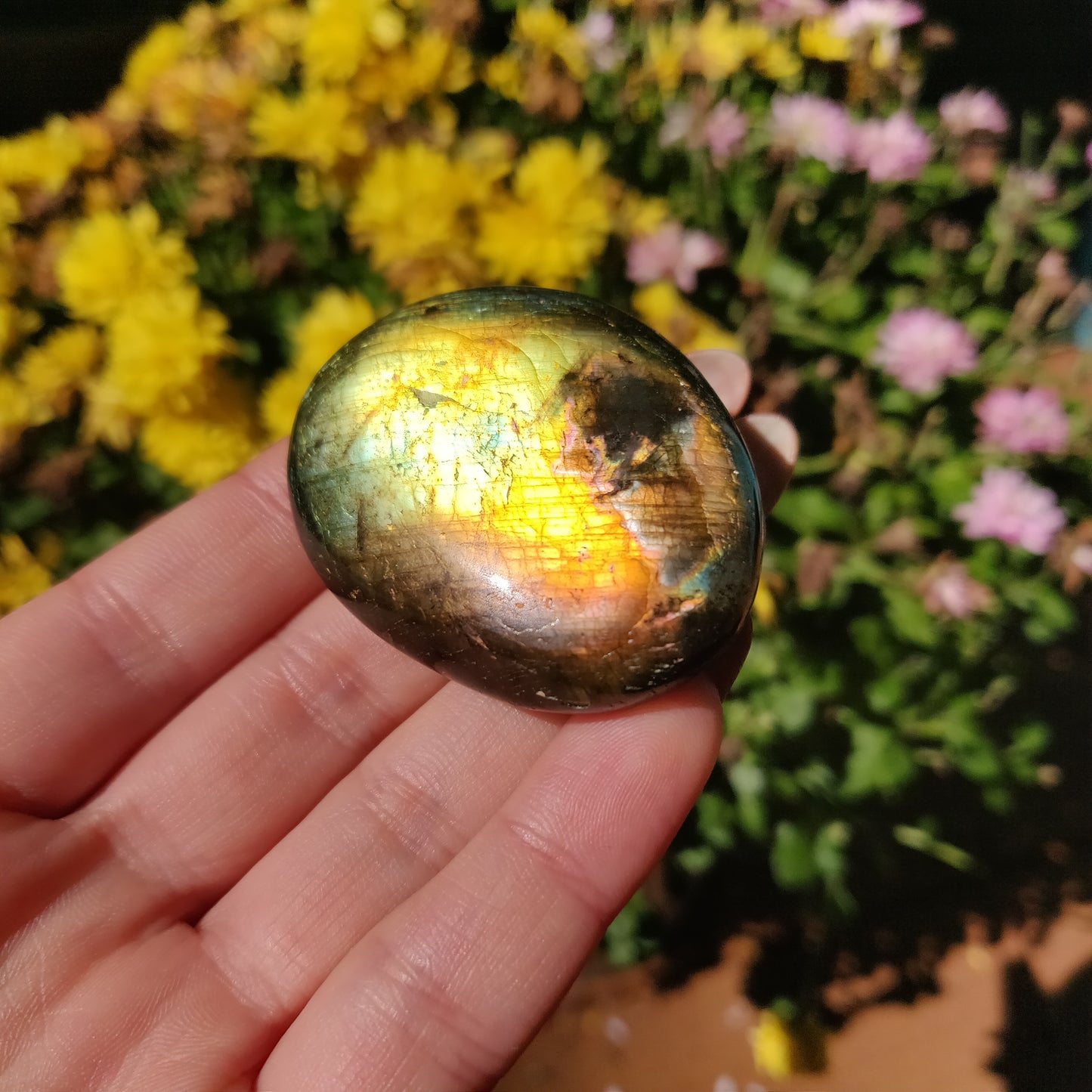 Labradorite Palm Stone (#A23)