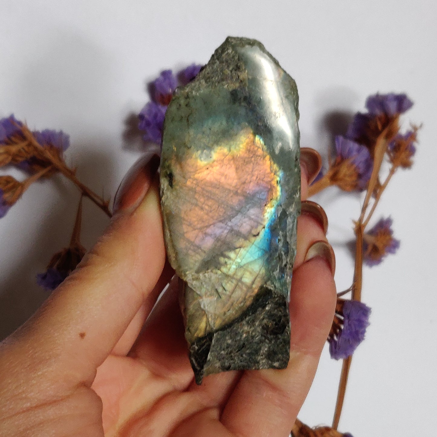 Labradorite Slab, Rainbow Labradorite (#17)
