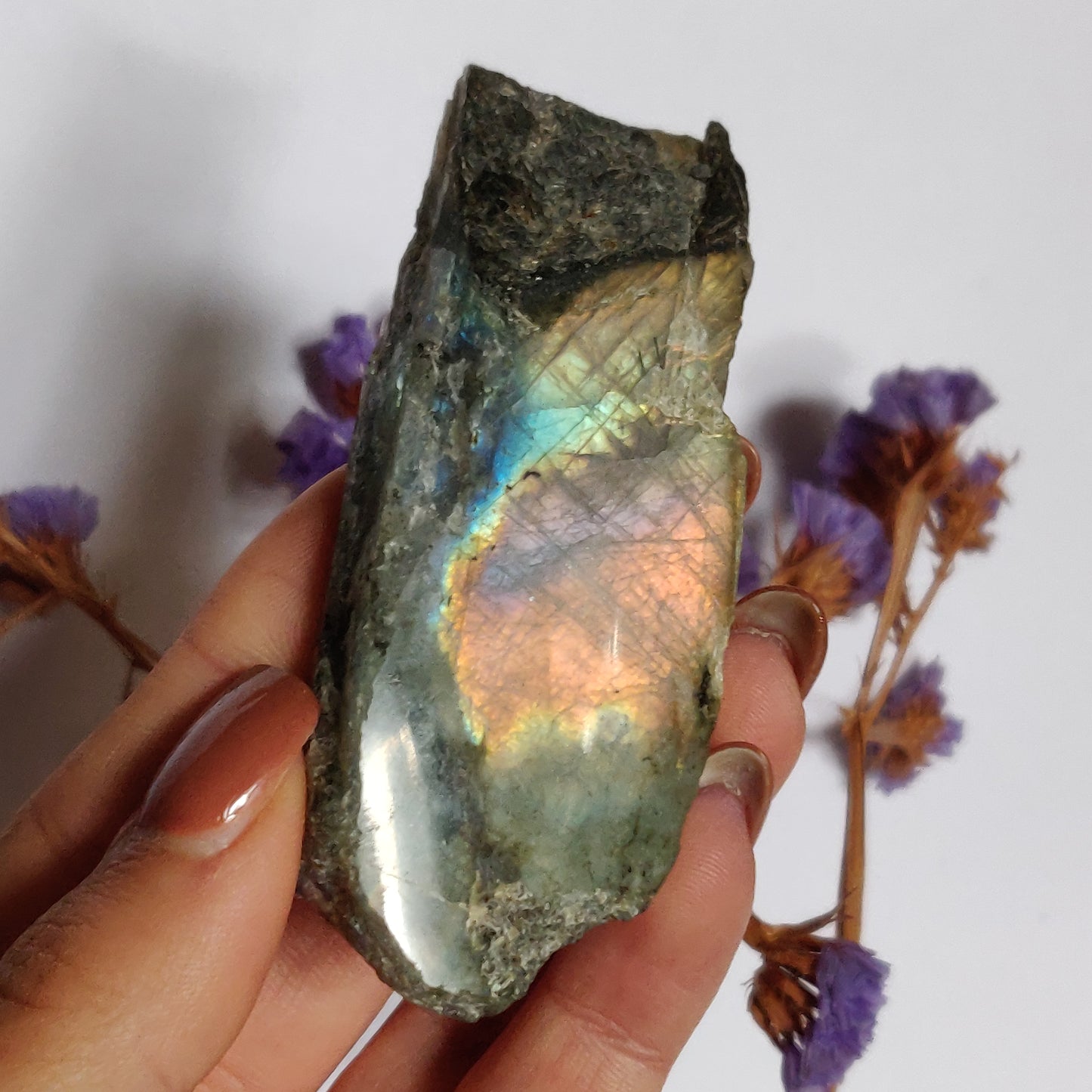 Labradorite Slab, Rainbow Labradorite (#17)