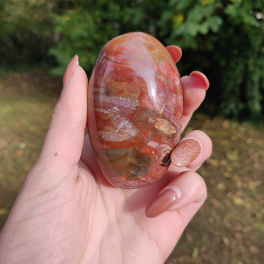 Petrified Wood Palm Stone (#3)