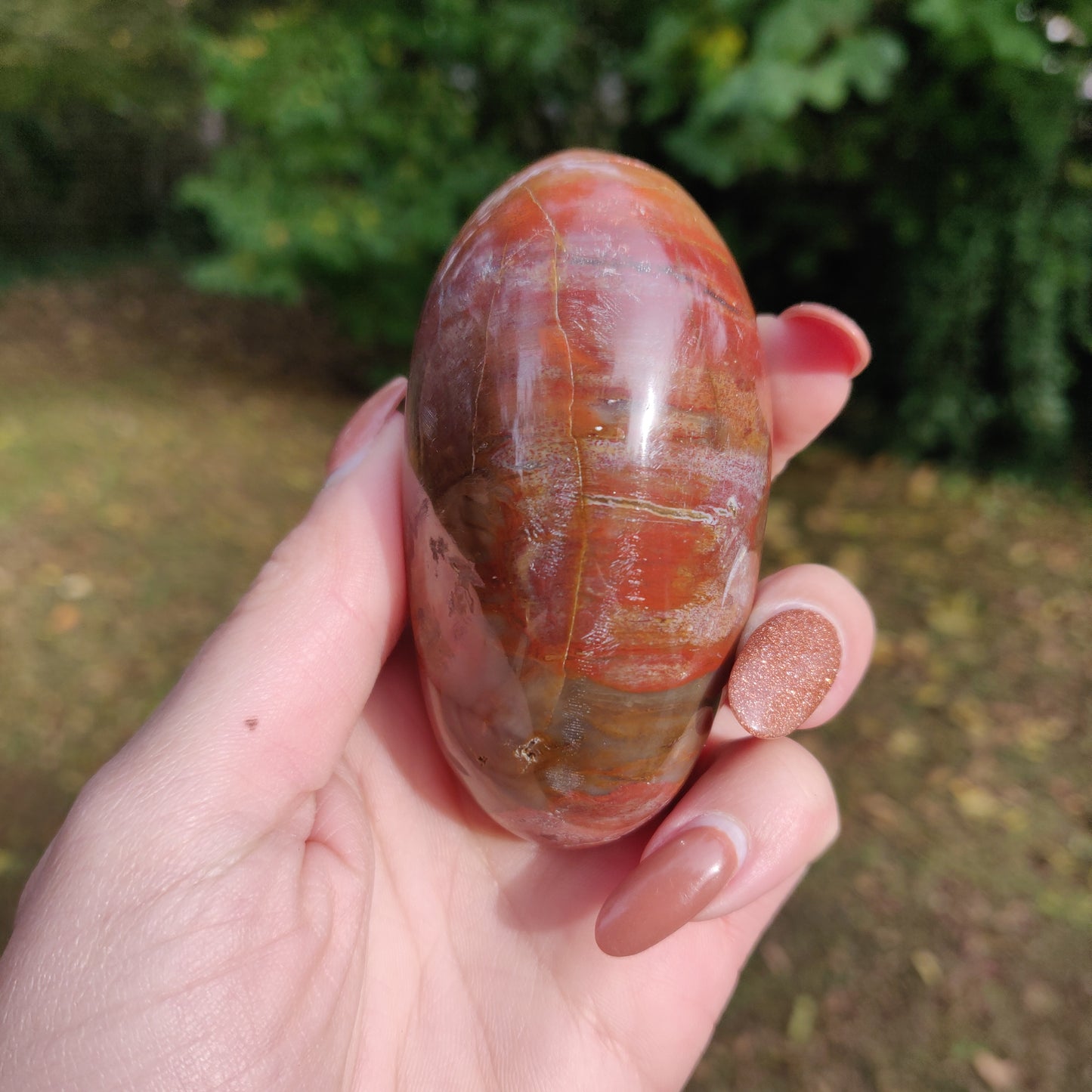 Petrified Wood Palm Stone (#3)