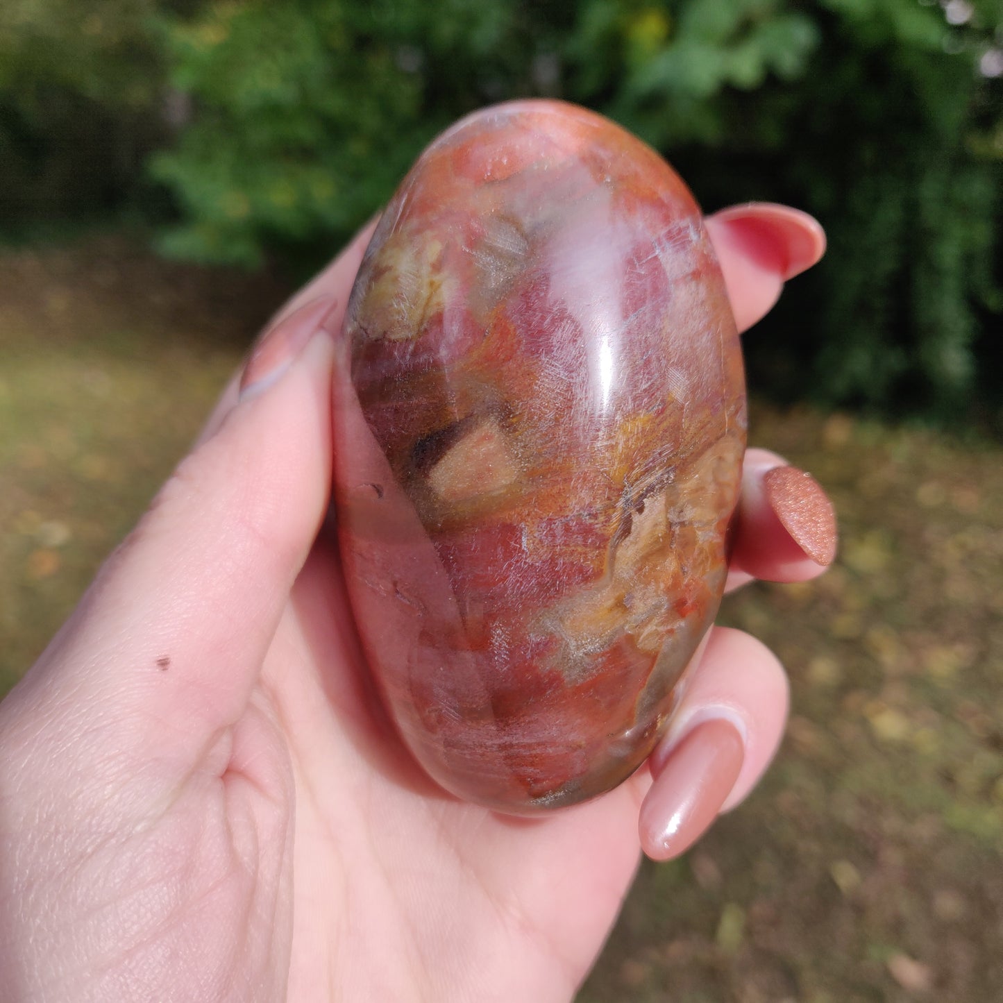 Petrified Wood Palm Stone (#3)