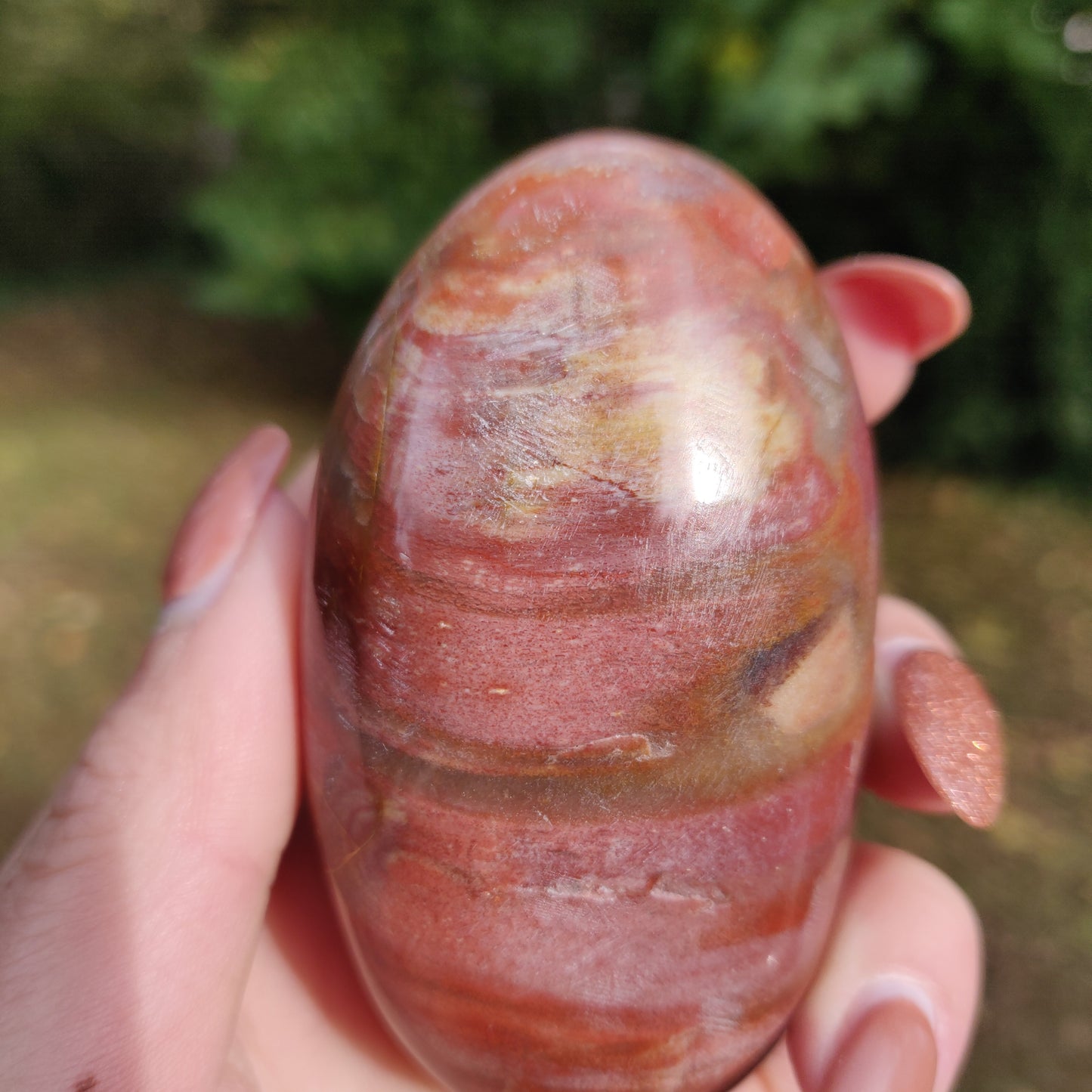 Petrified Wood Palm Stone (#3)