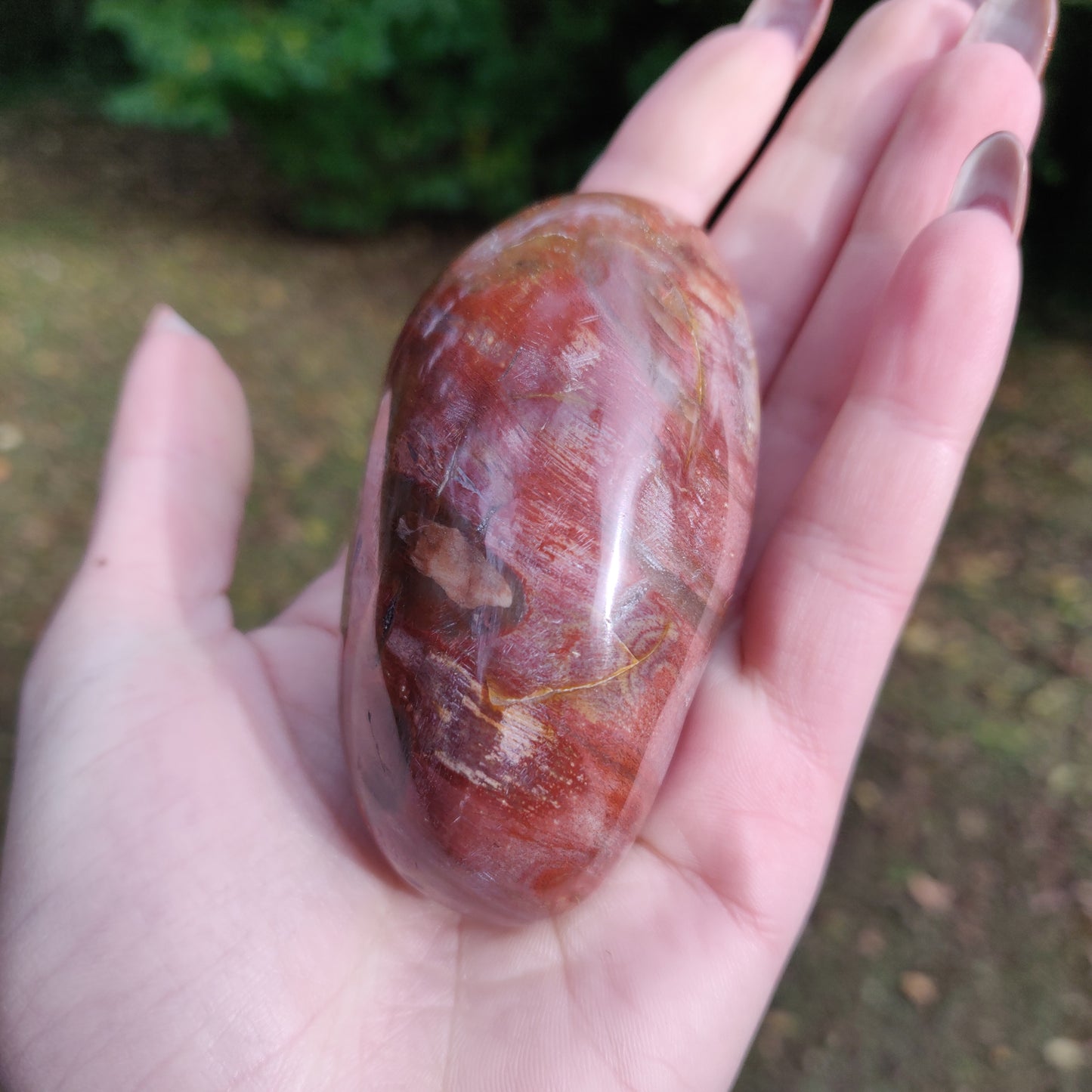 Petrified Wood Palm Stone (#3)