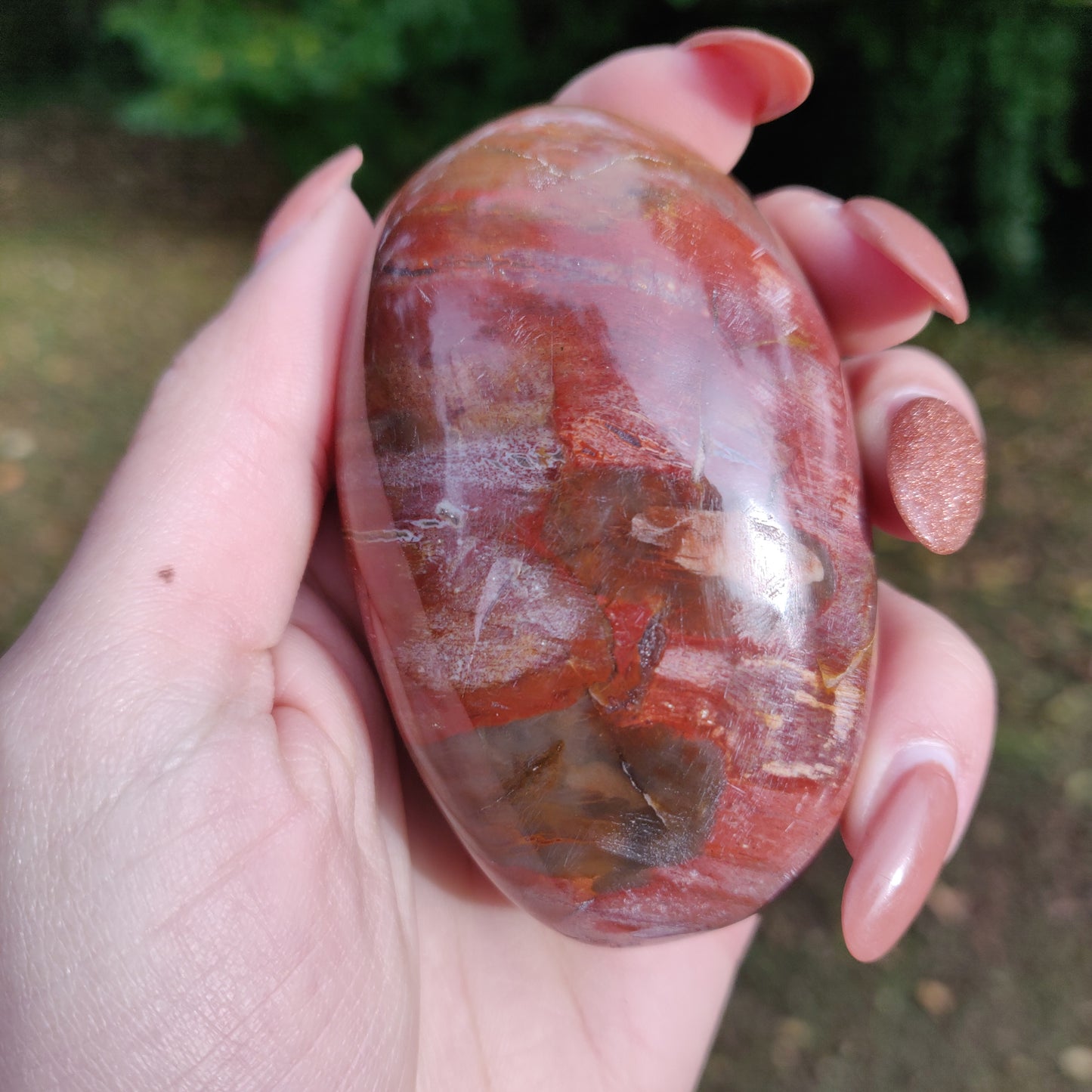 Petrified Wood Palm Stone (#3)
