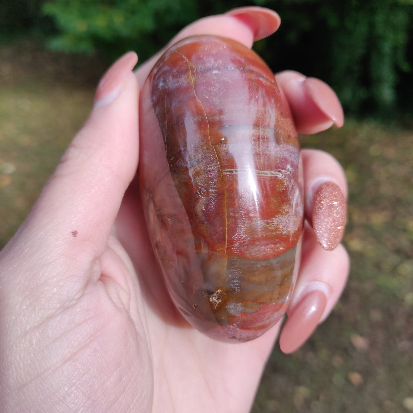 Petrified Wood Palm Stone (#3)