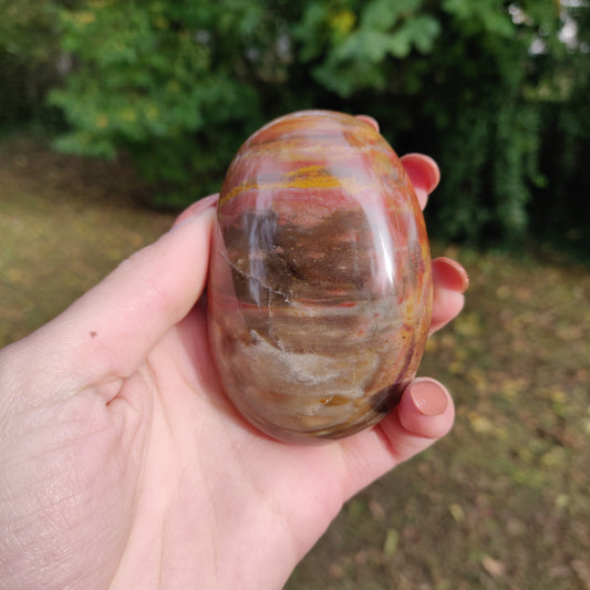 Petrified Wood Palm Stone (#5)