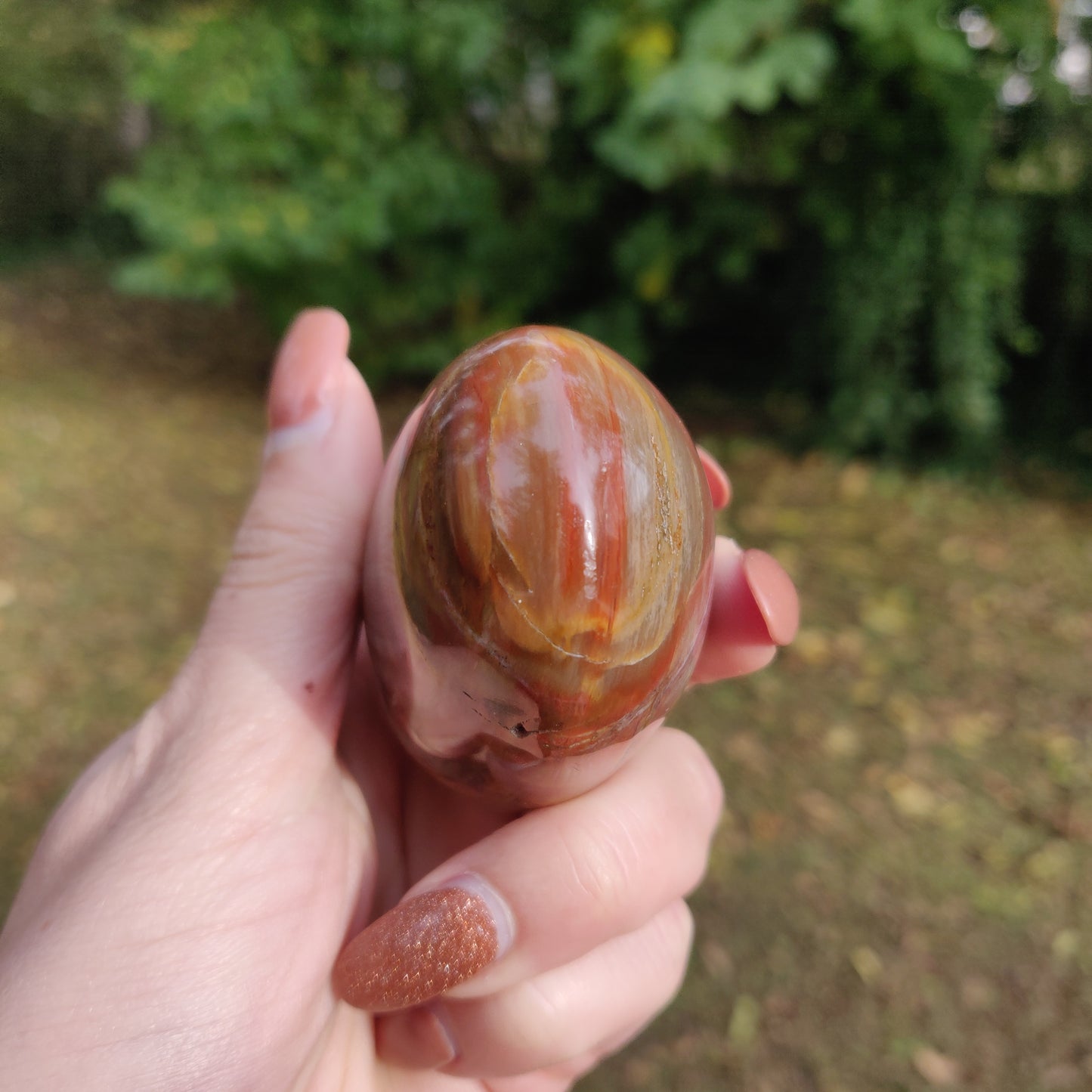 Petrified Wood Palm Stone (#5)