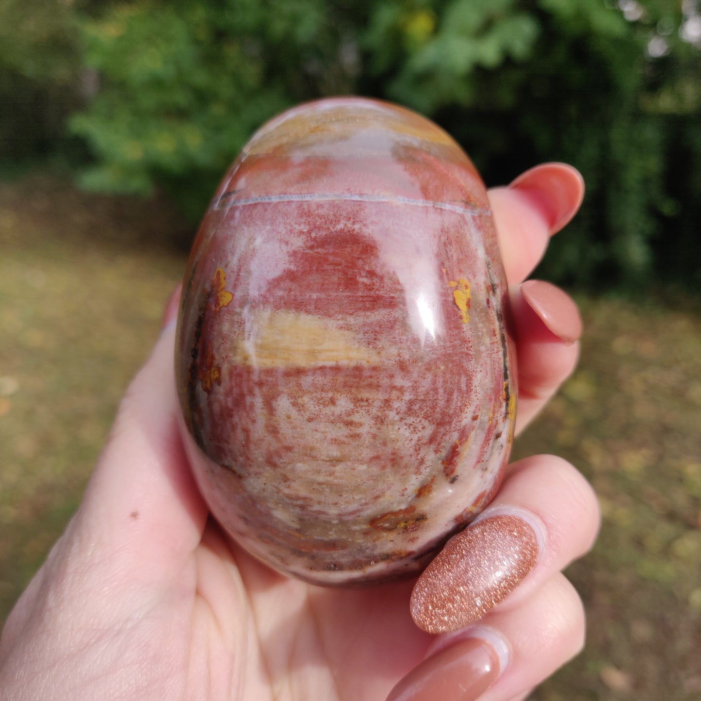 Petrified Wood Palm Stone (#5)