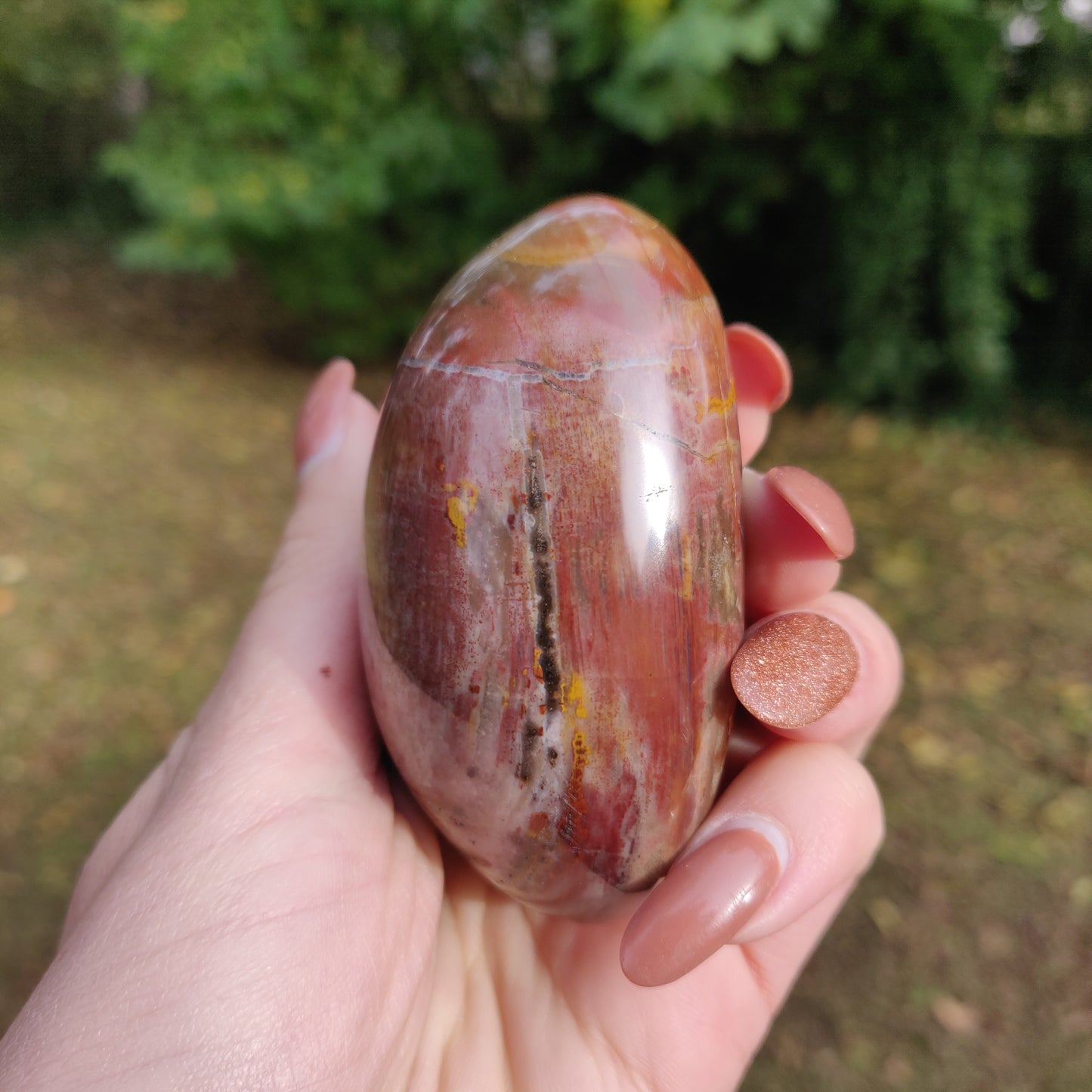 Petrified Wood Palm Stone (#5)