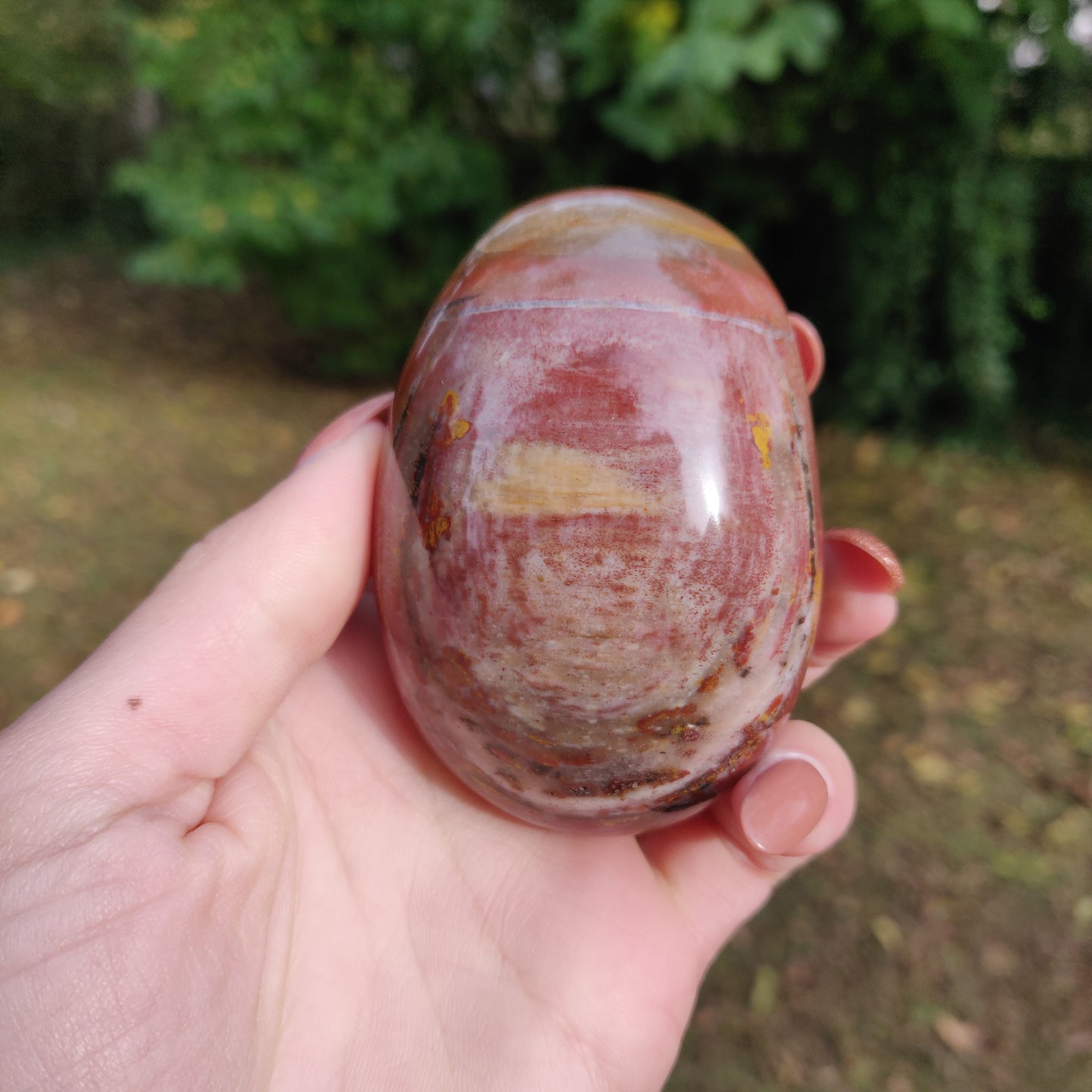 Petrified Wood Palm Stone (#5)