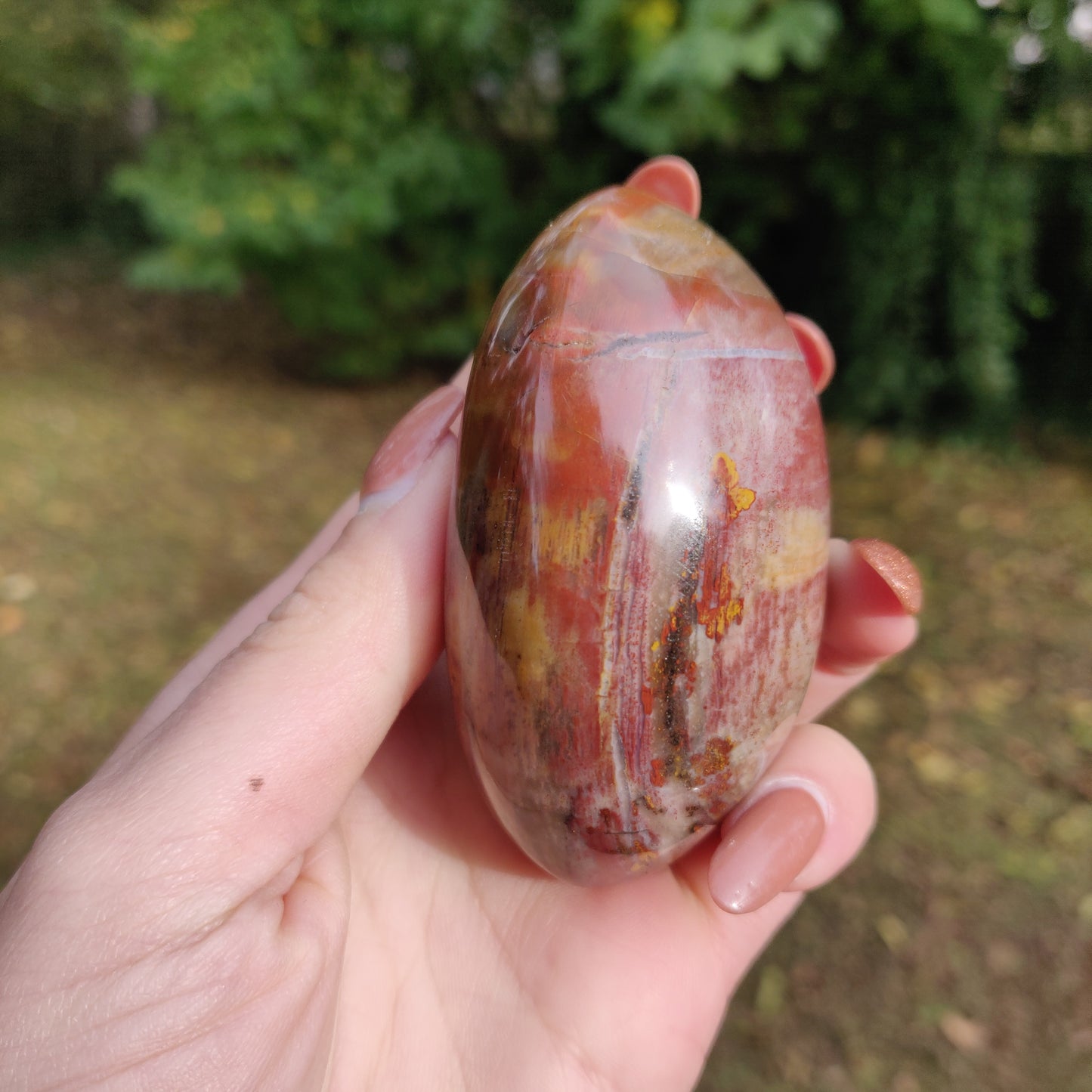 Petrified Wood Palm Stone (#5)