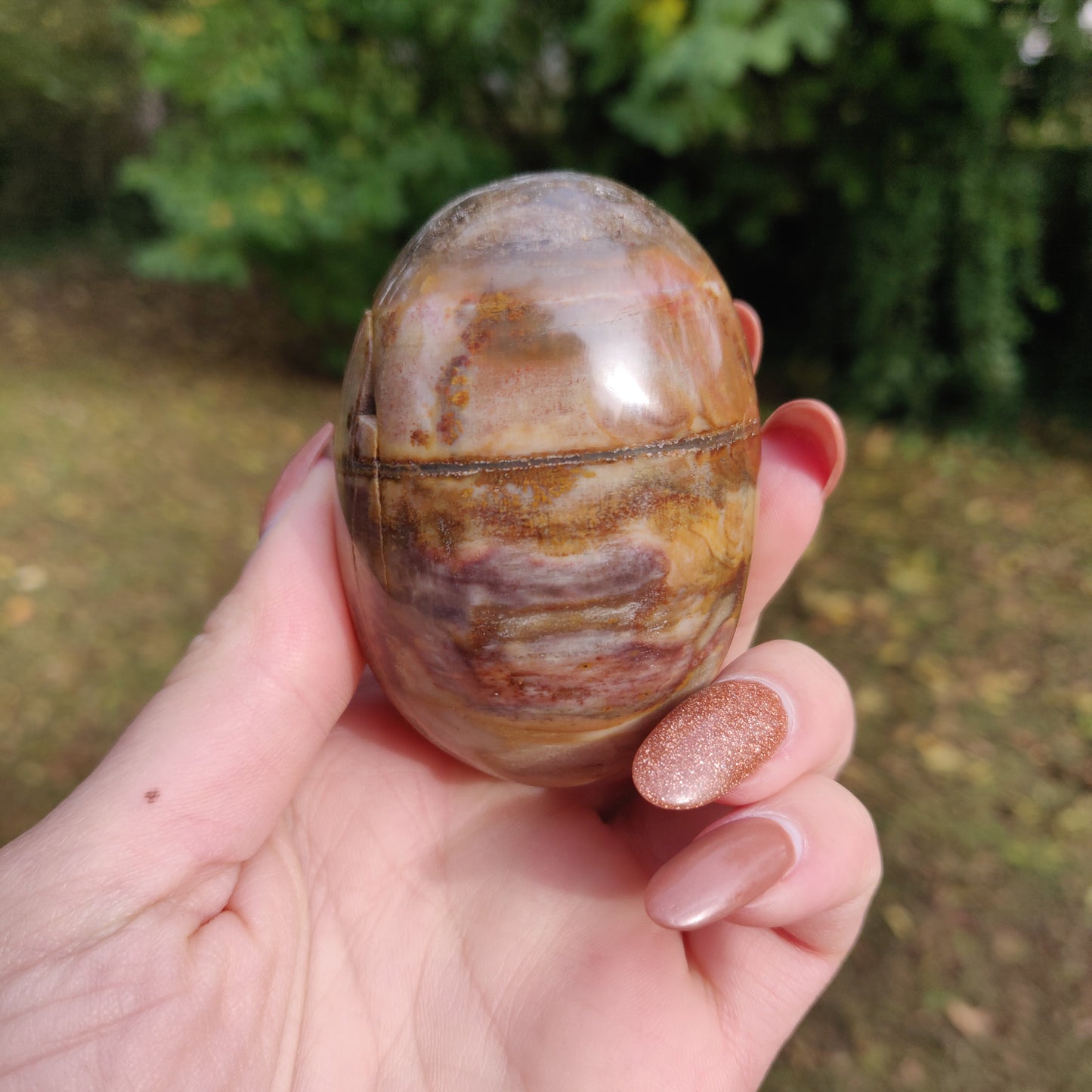 Petrified Wood Palm Stone (#10)