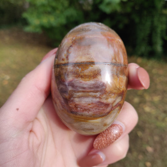 Petrified Wood Palm Stone (#10)