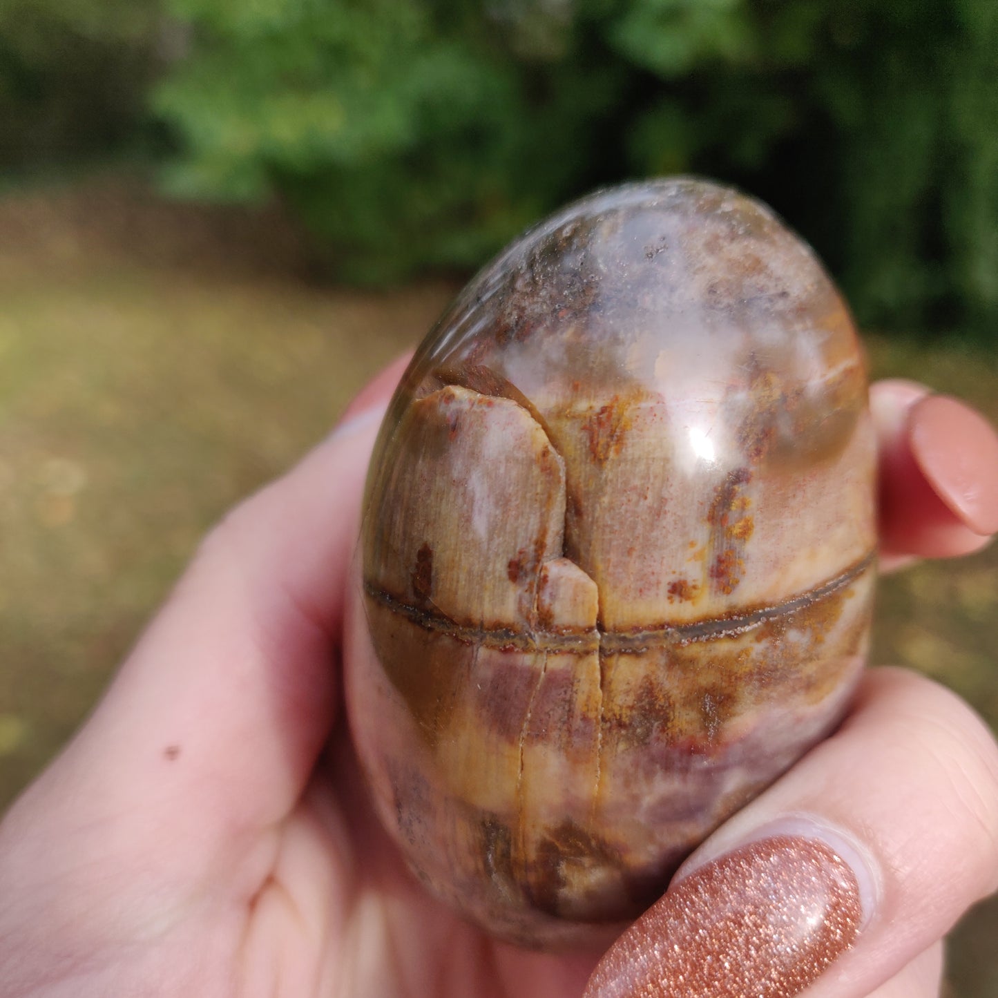 Petrified Wood Palm Stone (#10)