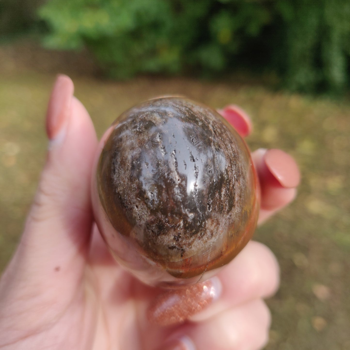 Petrified Wood Palm Stone (#10)