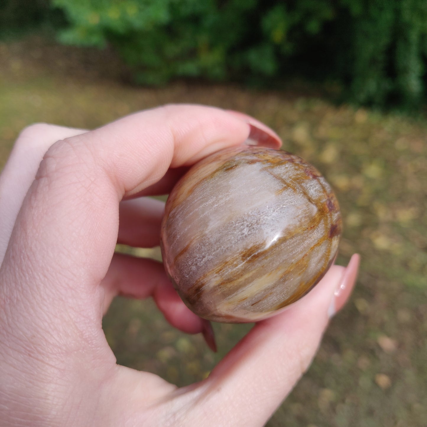 Petrified Wood Palm Stone (#10)