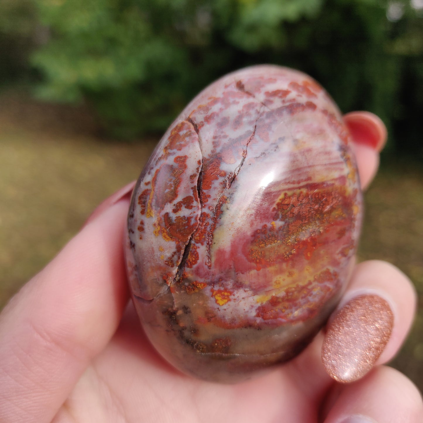 Petrified Wood Palm Stone (#8)