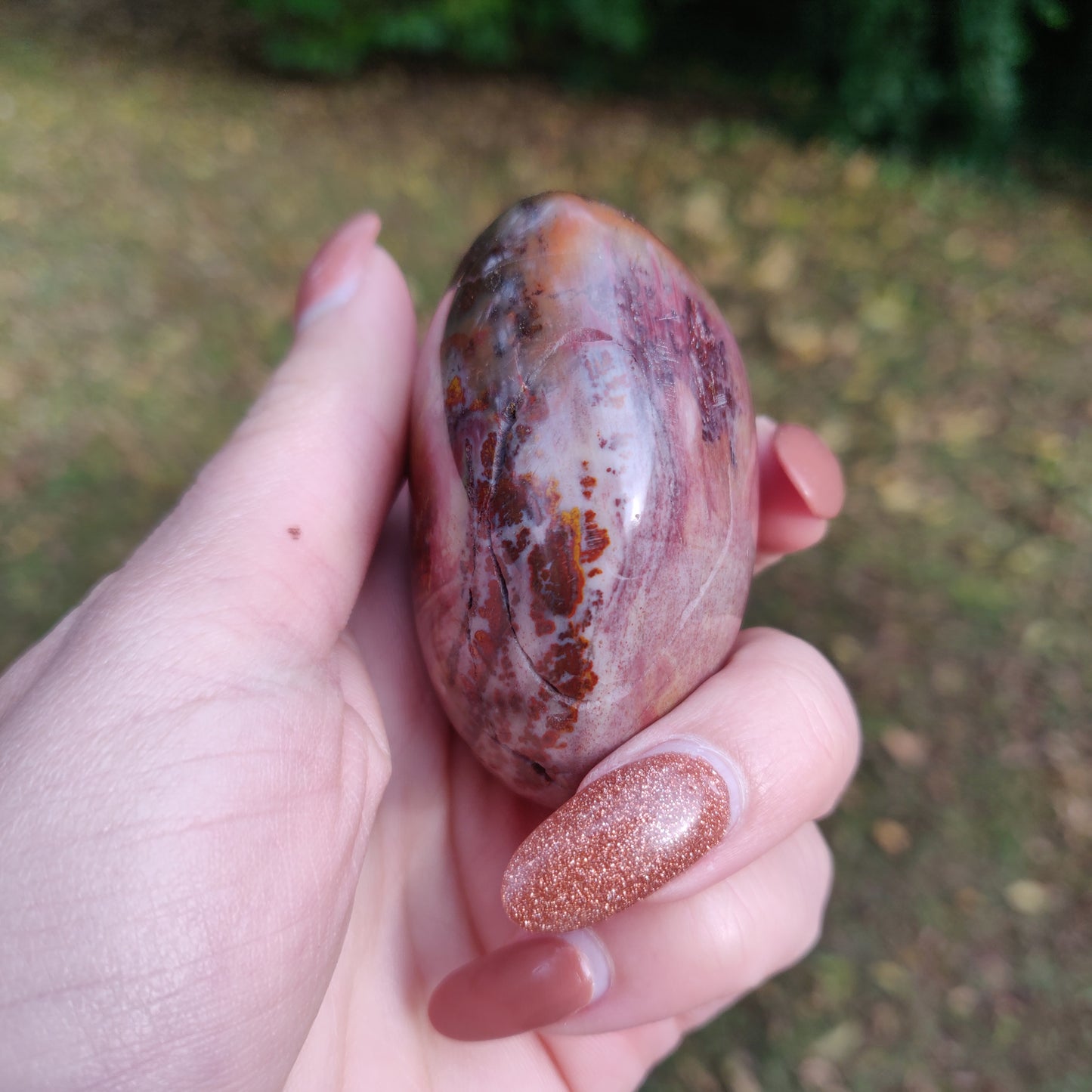 Petrified Wood Palm Stone (#8)