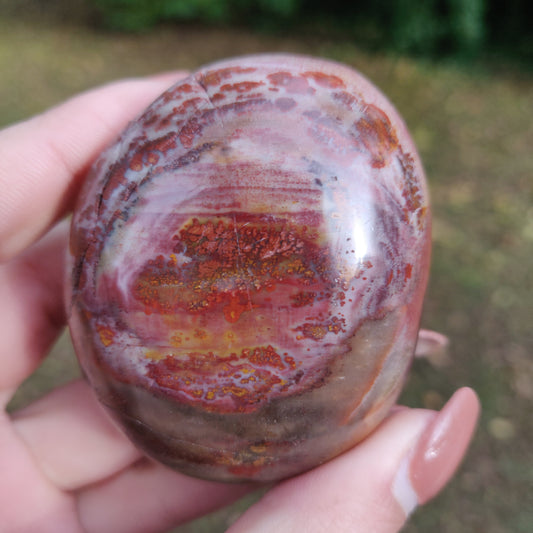 Petrified Wood Palm Stone (#8)