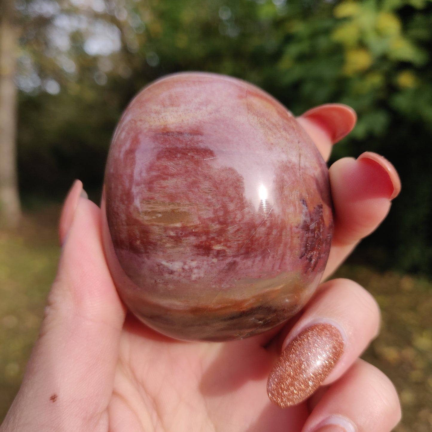 Petrified Wood Palm Stone (#8)