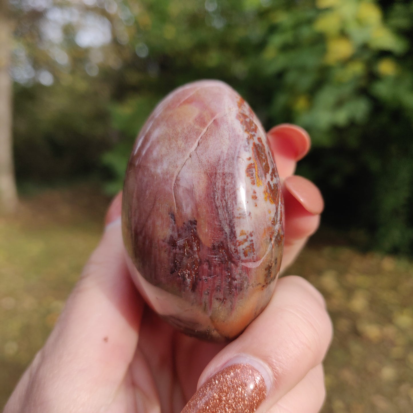 Petrified Wood Palm Stone (#8)