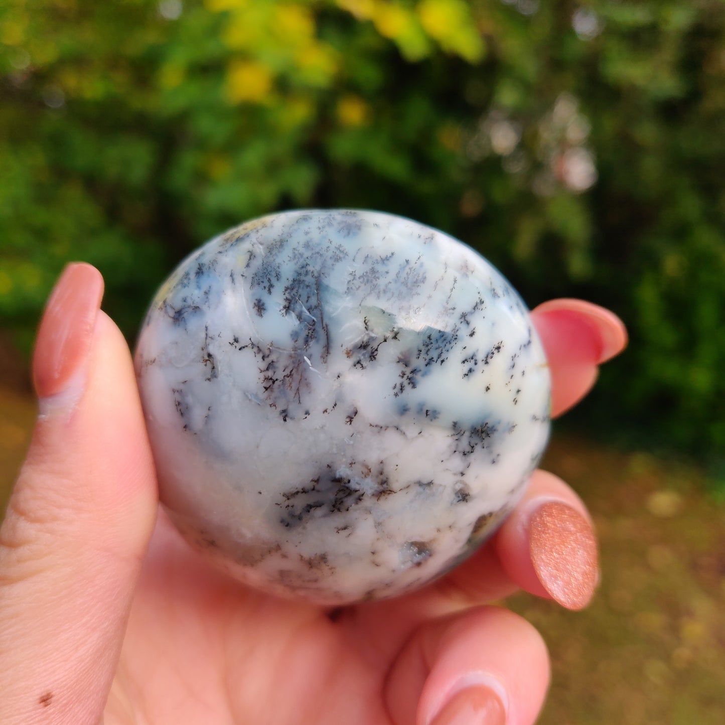 Dendritic Opal Palm Stone (#5)