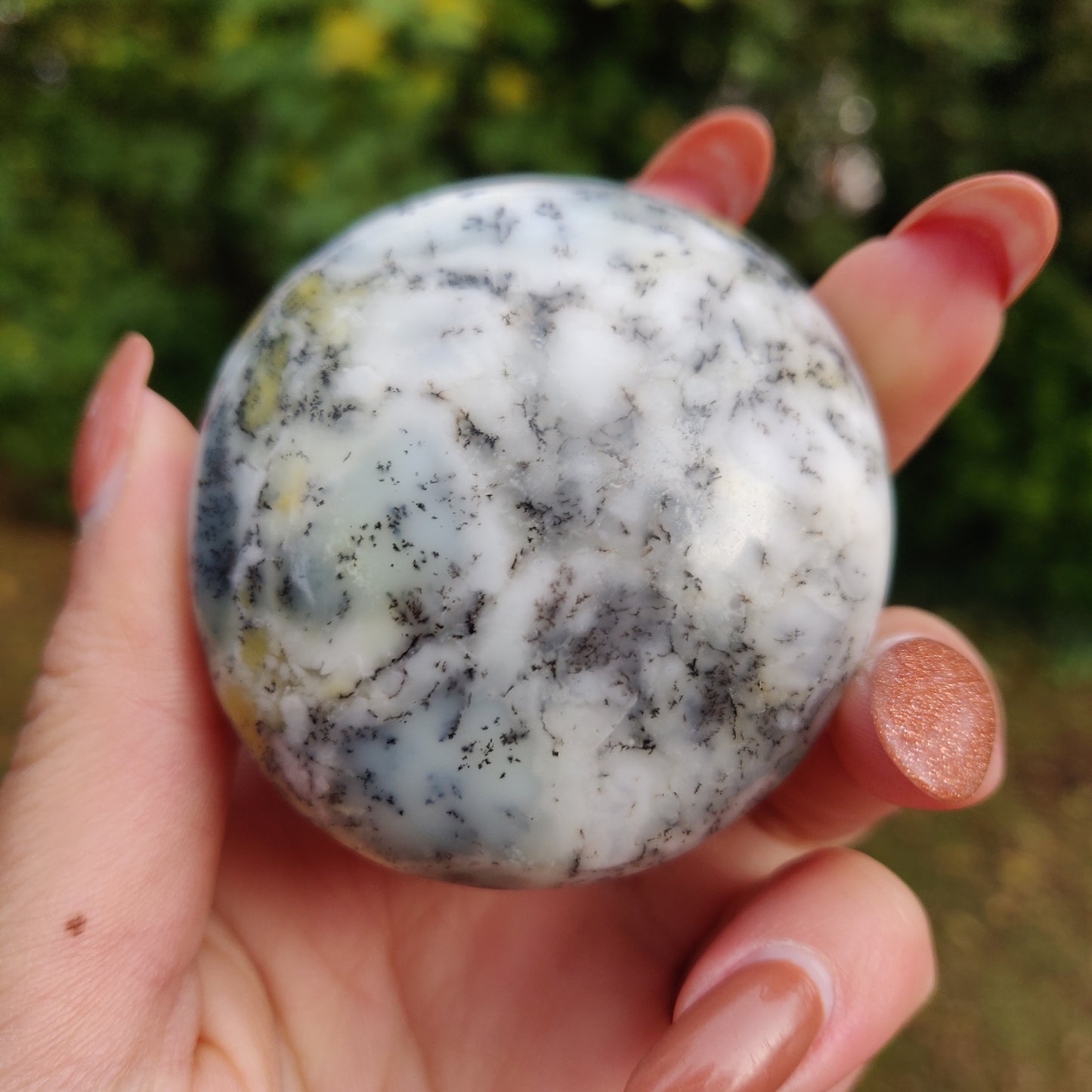 Dendritic Opal Palm Stone (#5)