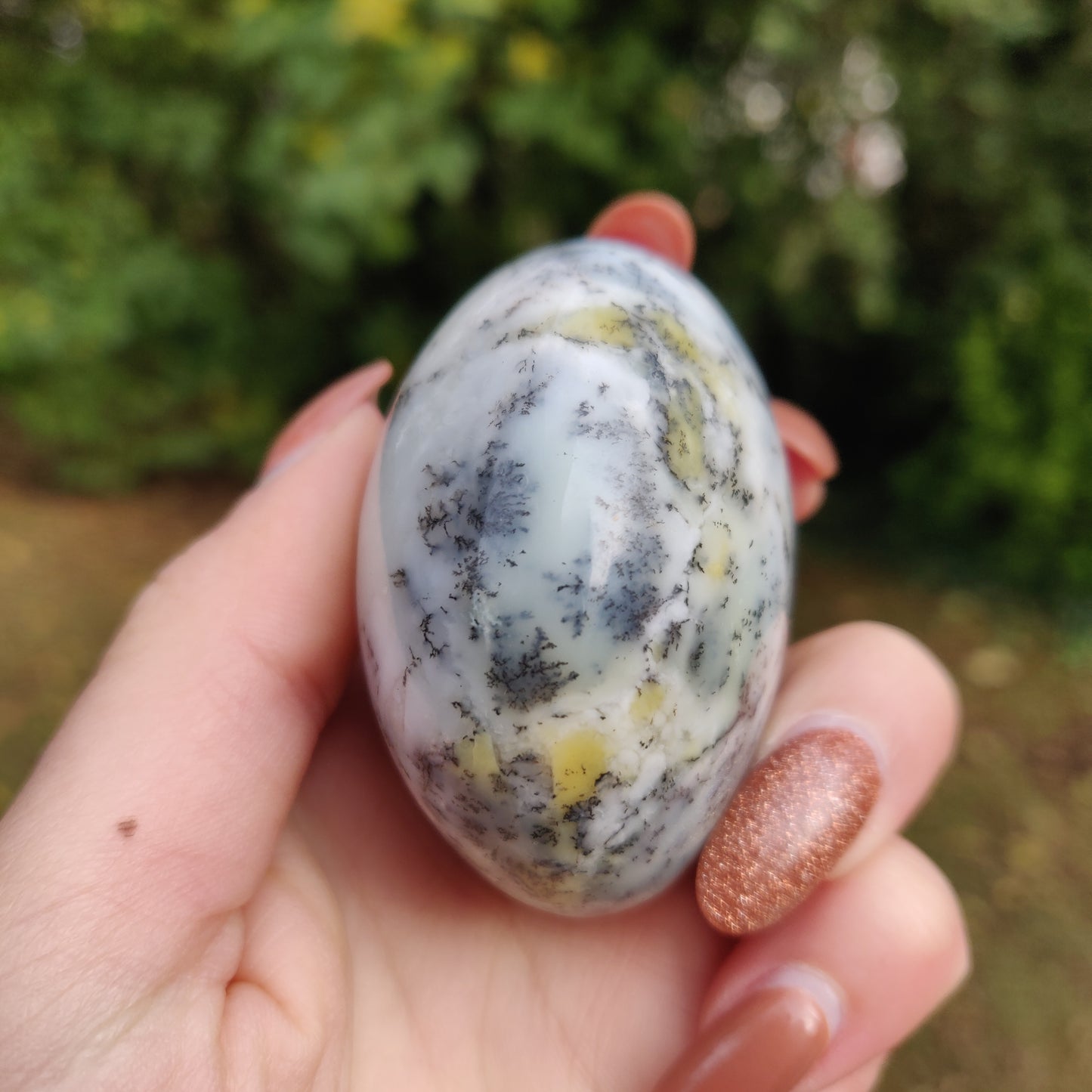 Dendritic Opal Palm Stone (#5)