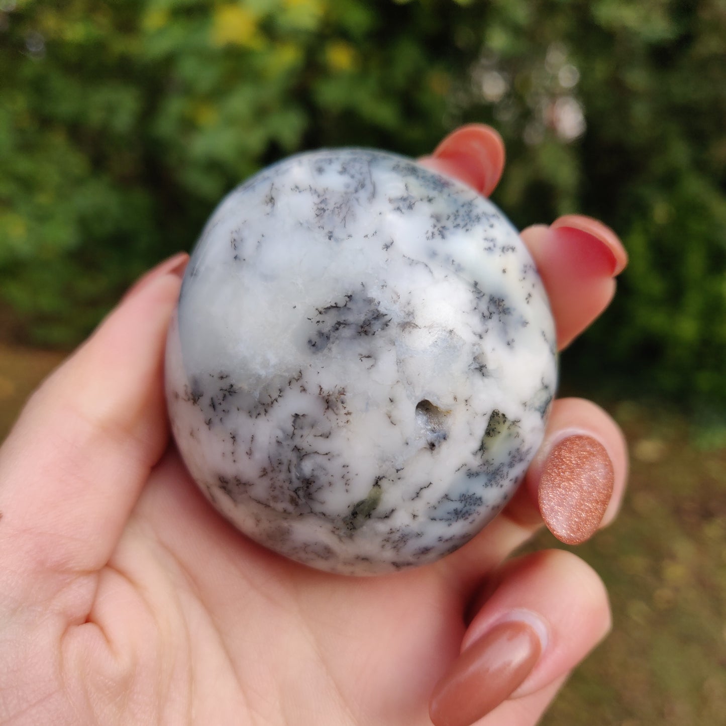Dendritic Opal Palm Stone (#5)