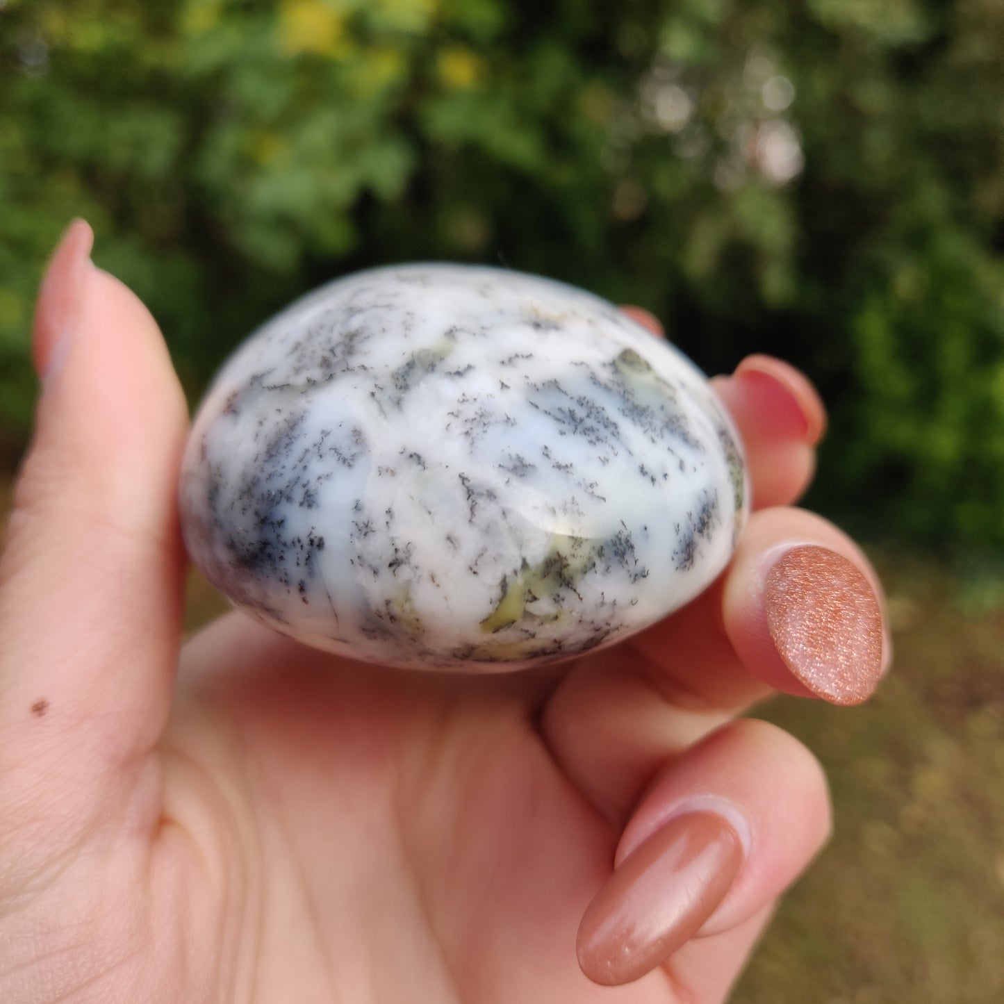 Dendritic Opal Palm Stone (#5)