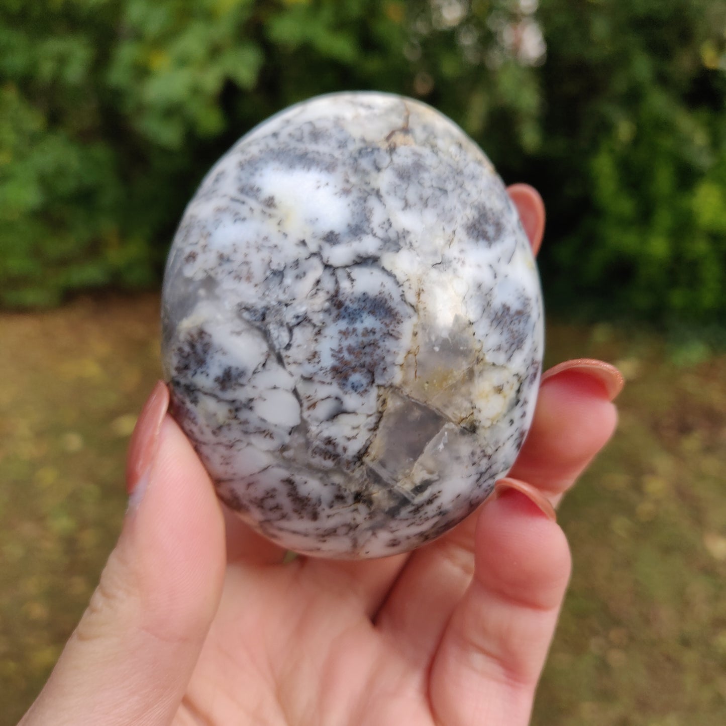 Dendritic Opal Palm Stone (#13)