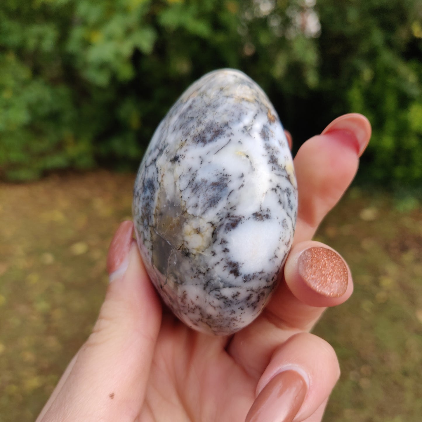 Dendritic Opal Palm Stone (#13)