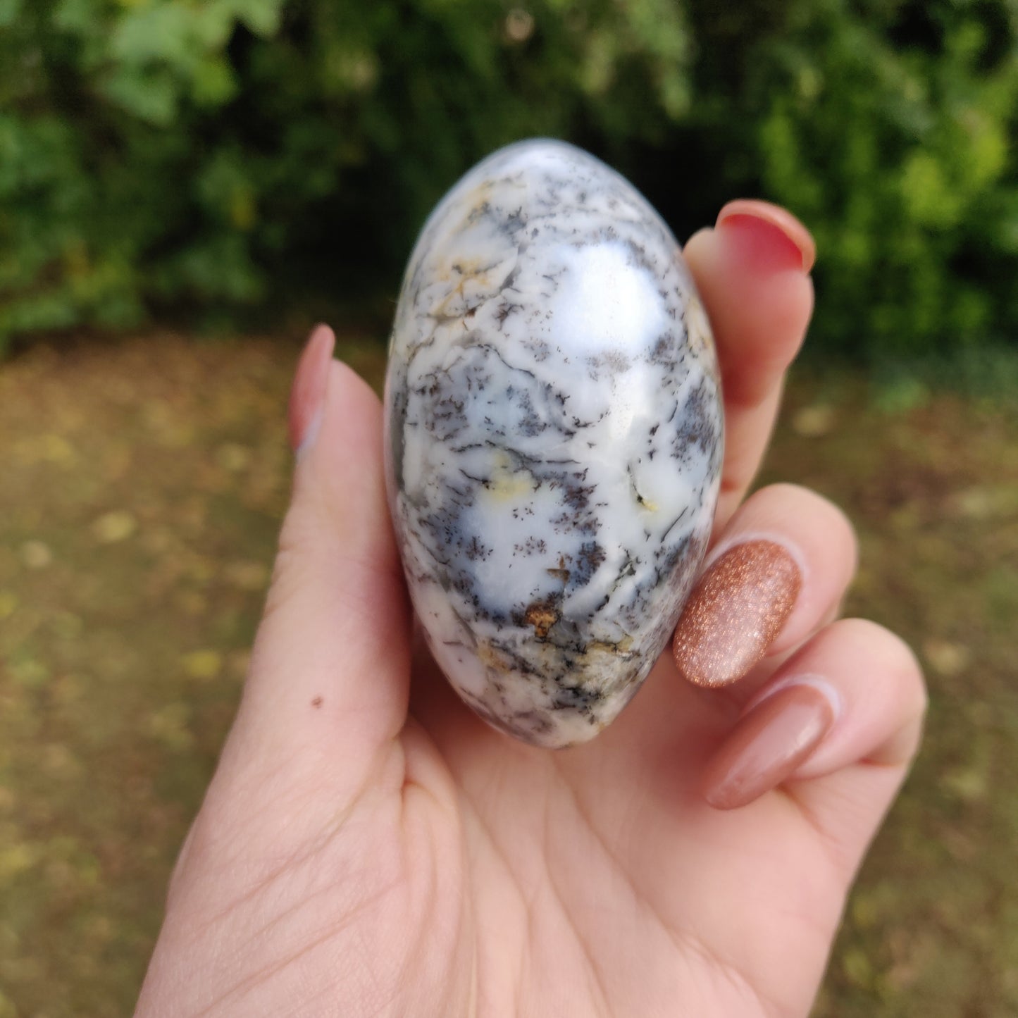 Dendritic Opal Palm Stone (#13)