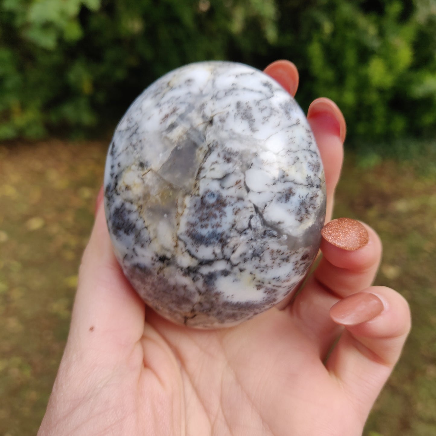 Dendritic Opal Palm Stone (#13)