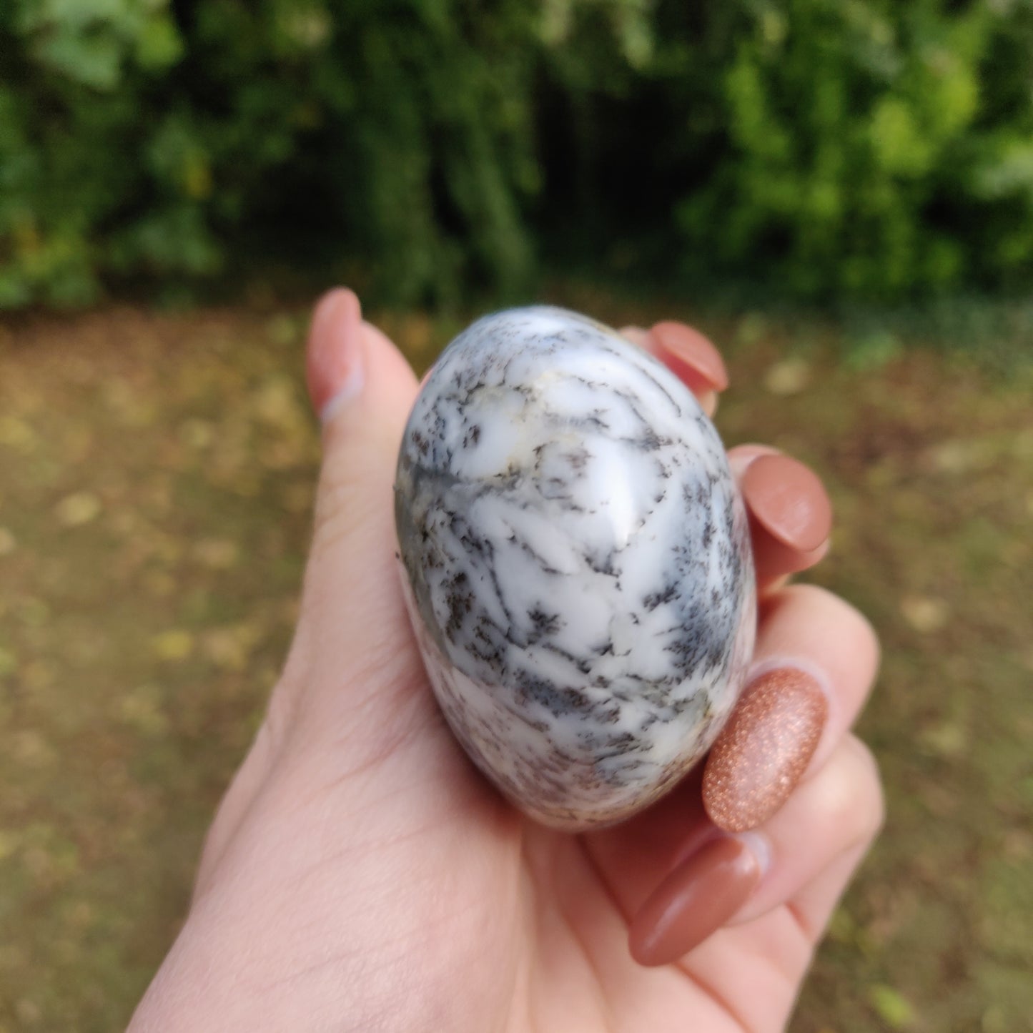 Dendritic Opal Palm Stone (#13)