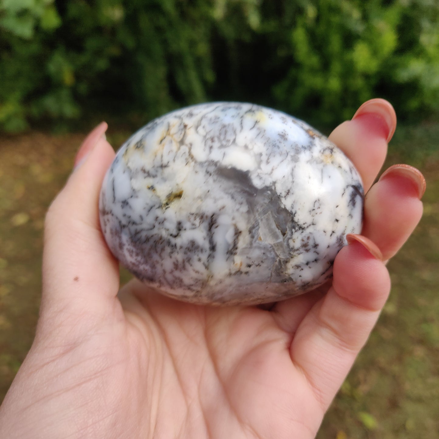 Dendritic Opal Palm Stone (#13)