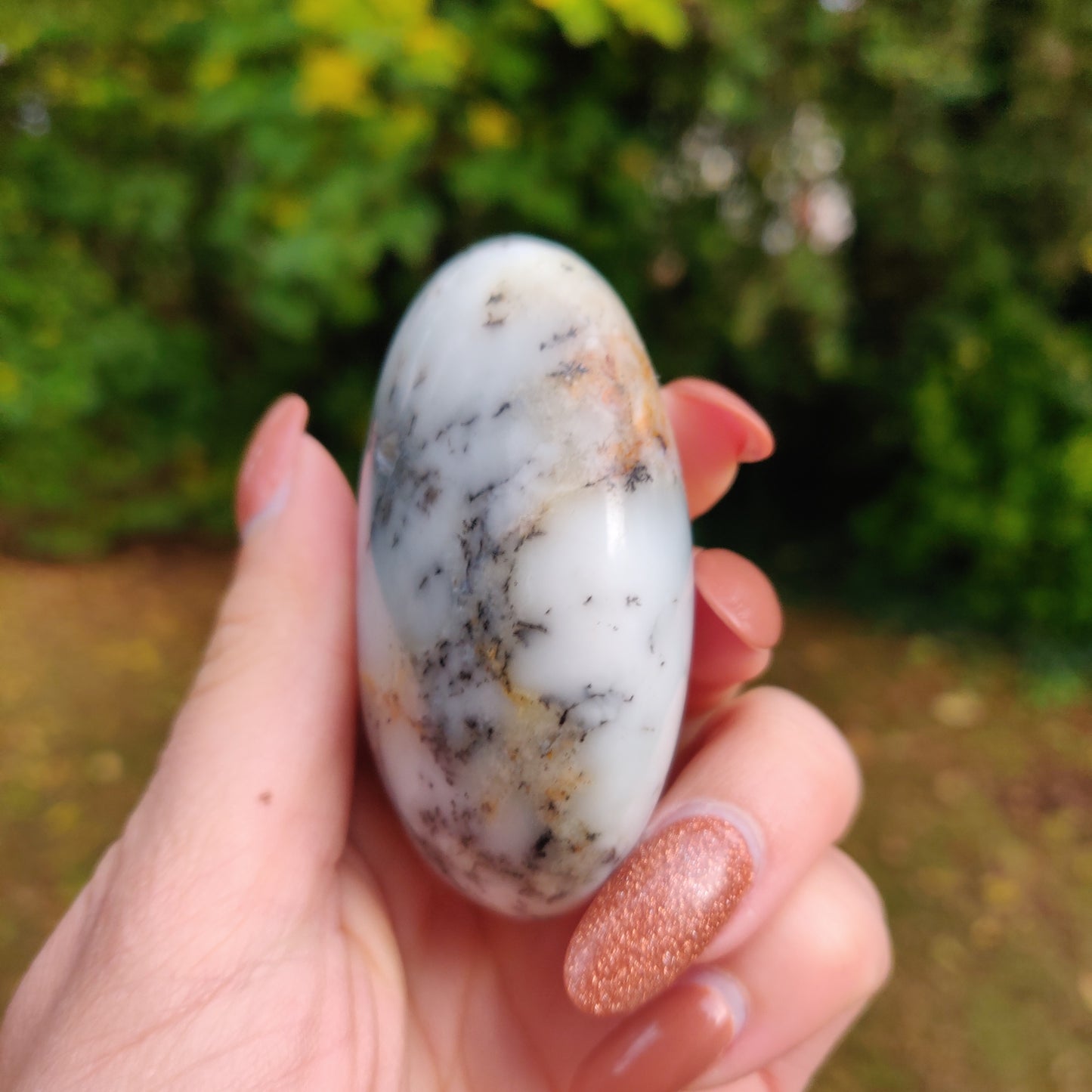 Dendritic Opal Palm Stone (#14)