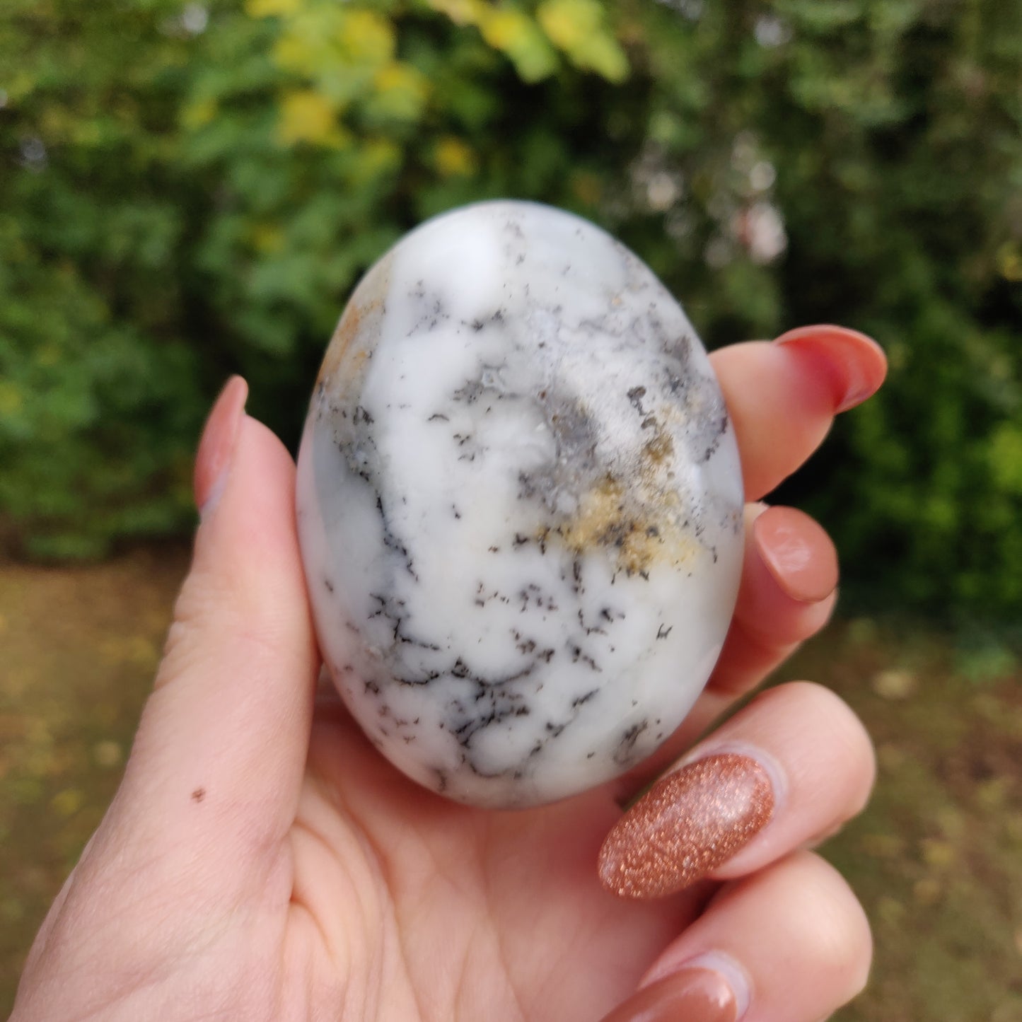 Dendritic Opal Palm Stone (#14)