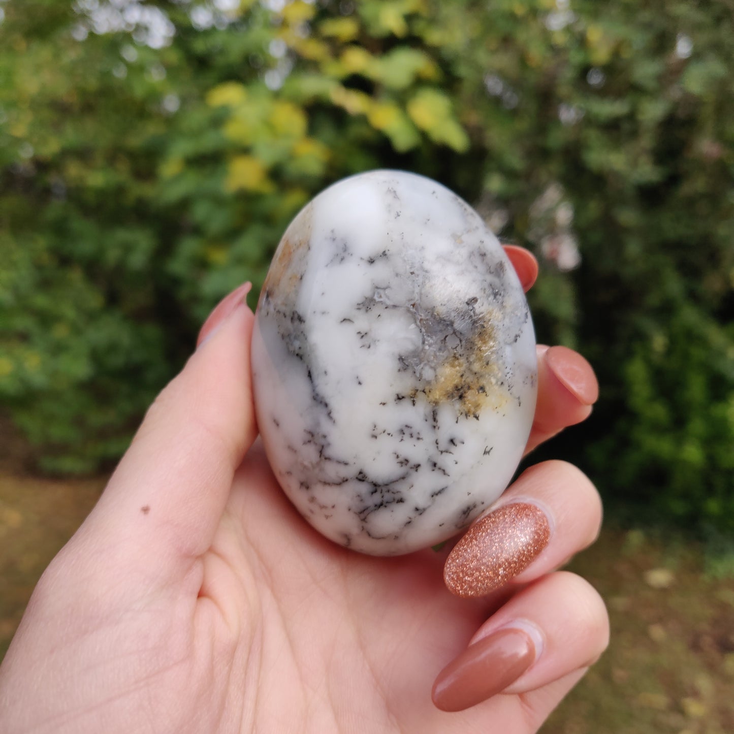 Dendritic Opal Palm Stone (#14)