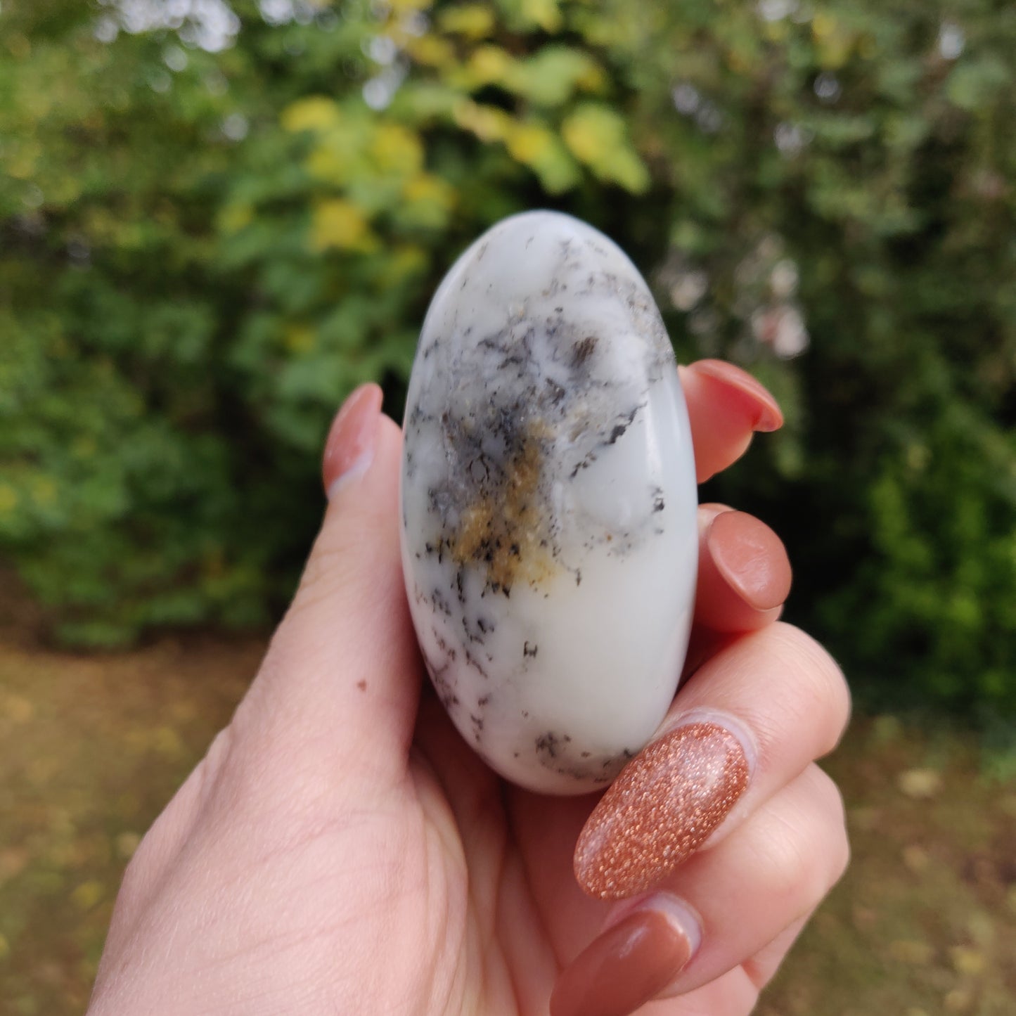 Dendritic Opal Palm Stone (#14)