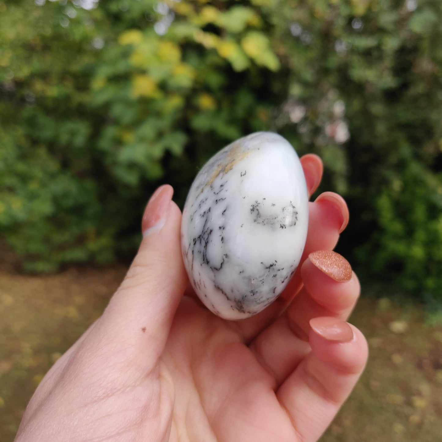 Dendritic Opal Palm Stone (#14)