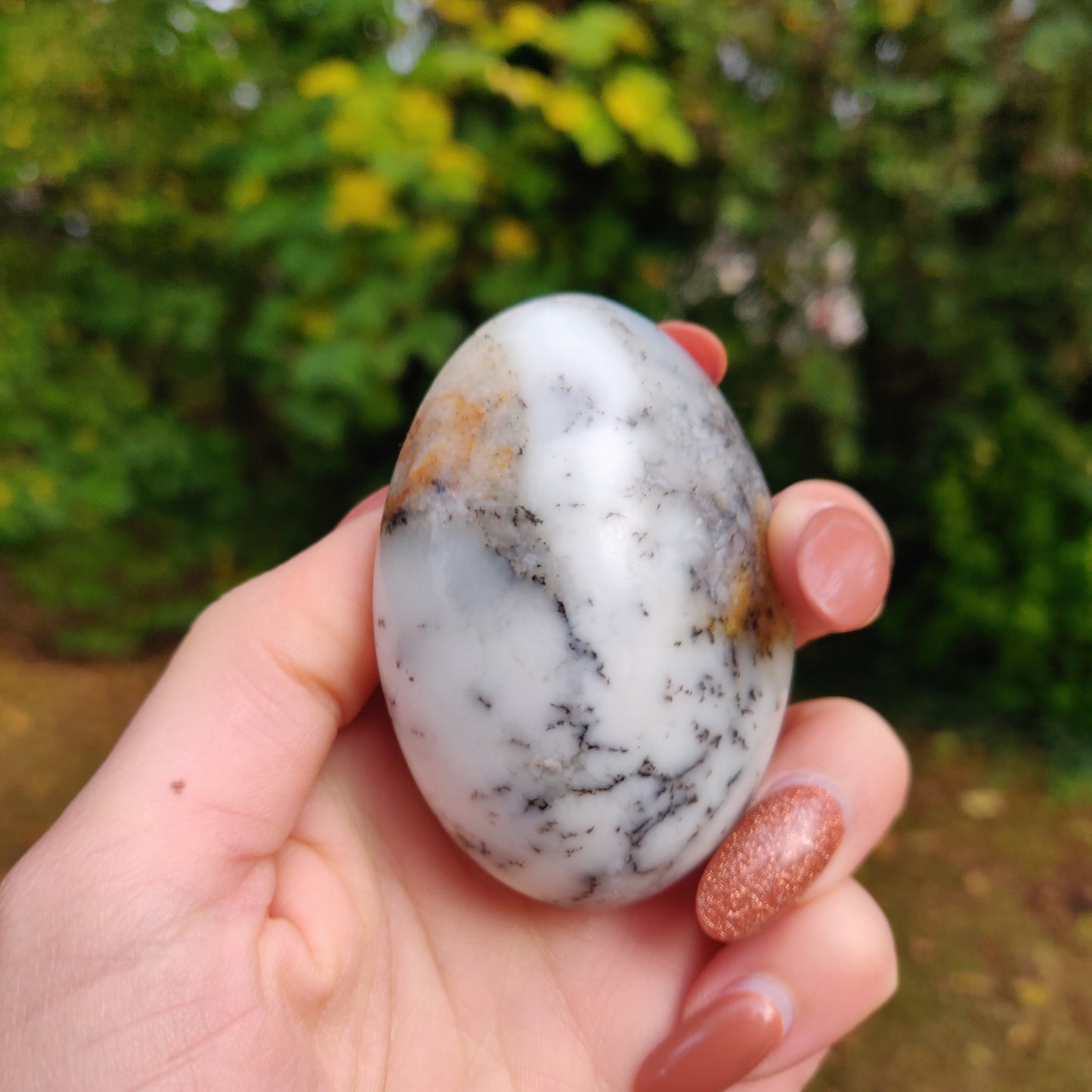 Dendritic Opal Palm Stone (#14)
