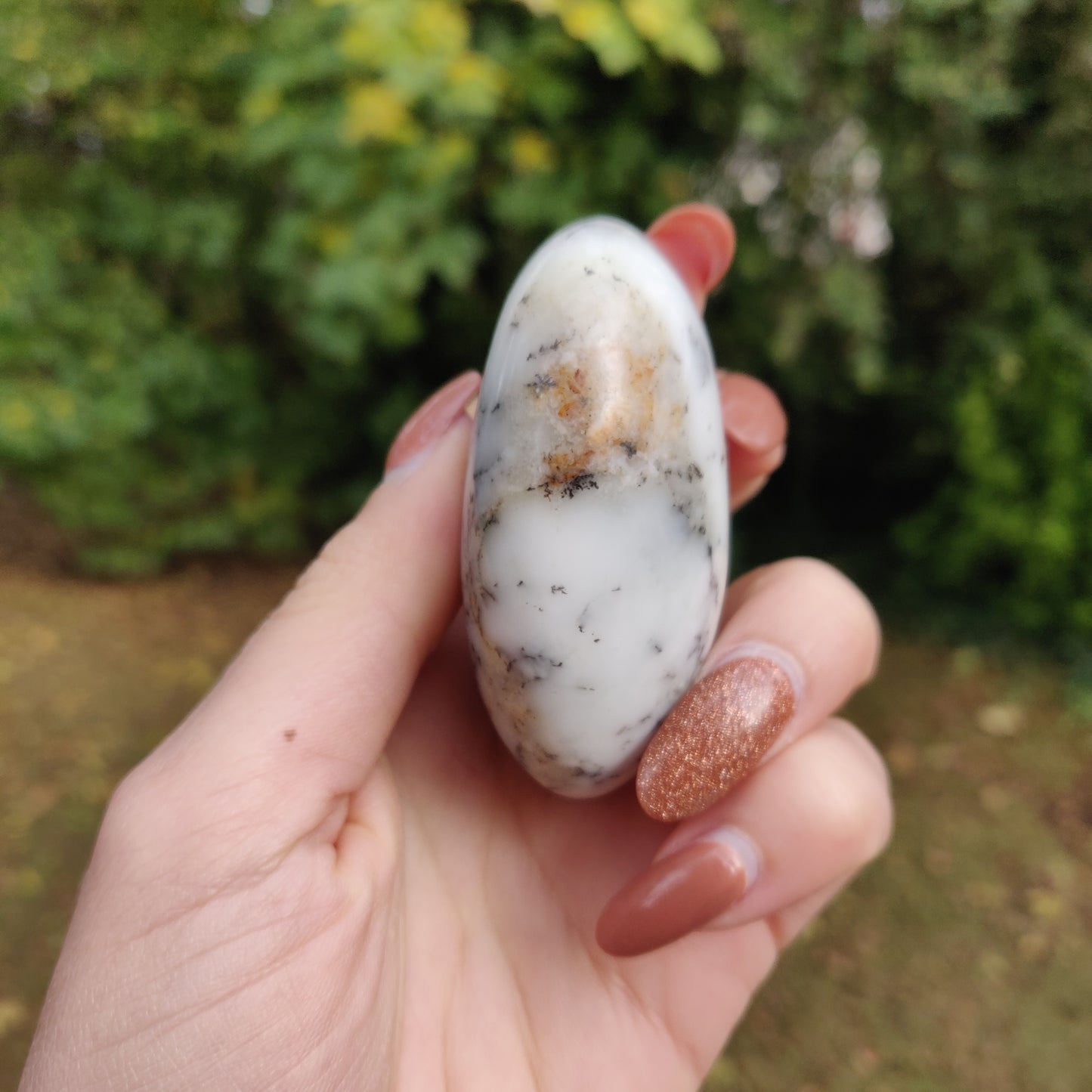 Dendritic Opal Palm Stone (#14)