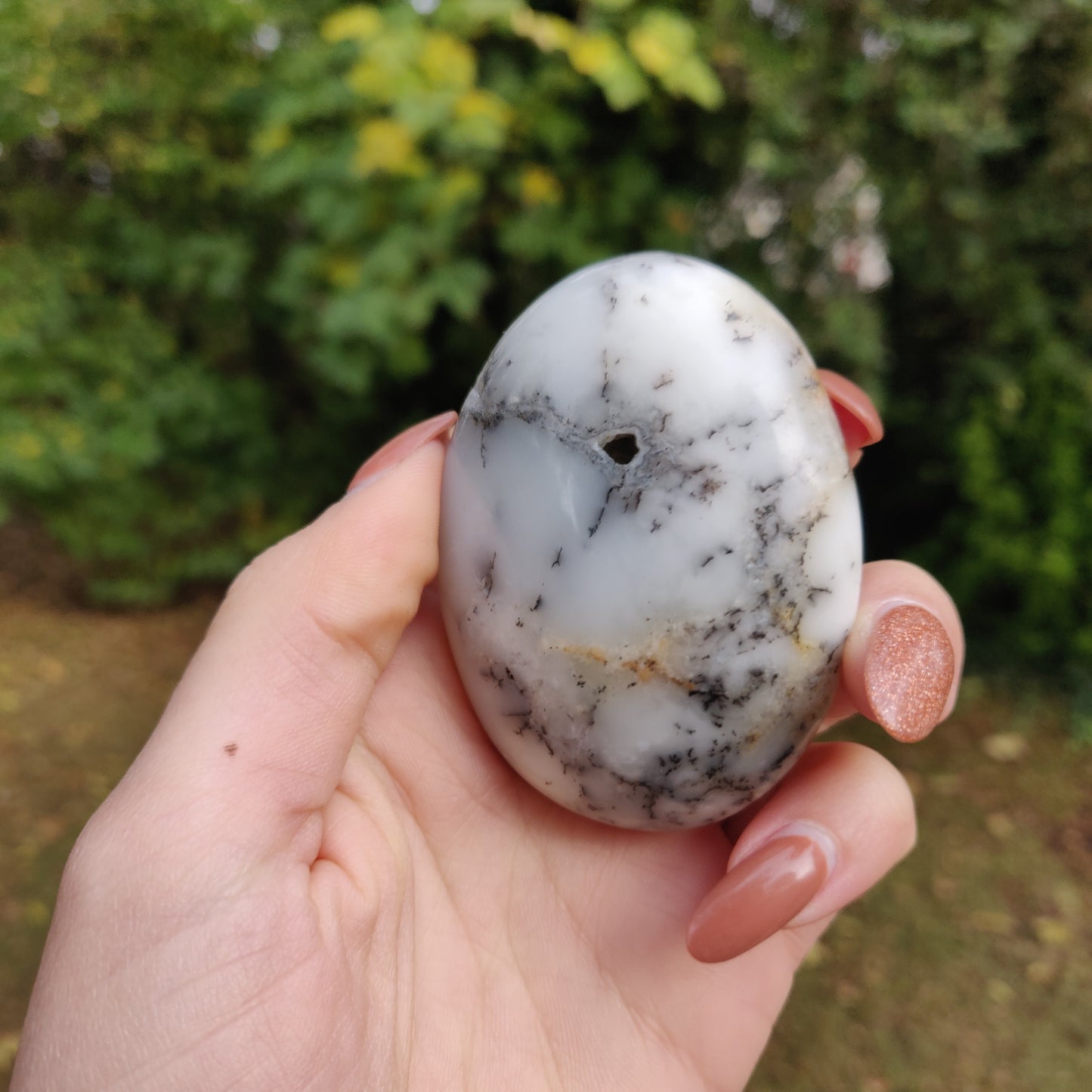 Dendritic Opal Palm Stone (#14)