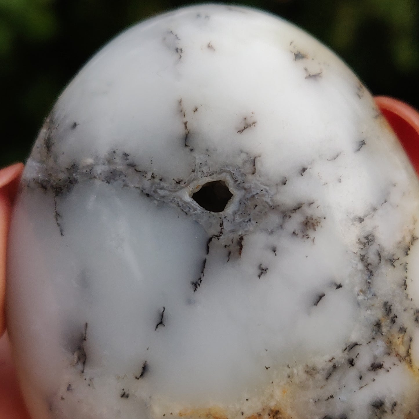 Dendritic Opal Palm Stone (#14)