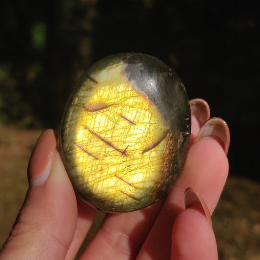 Labradorite Palm Stone (#20N) - Simply Affinity