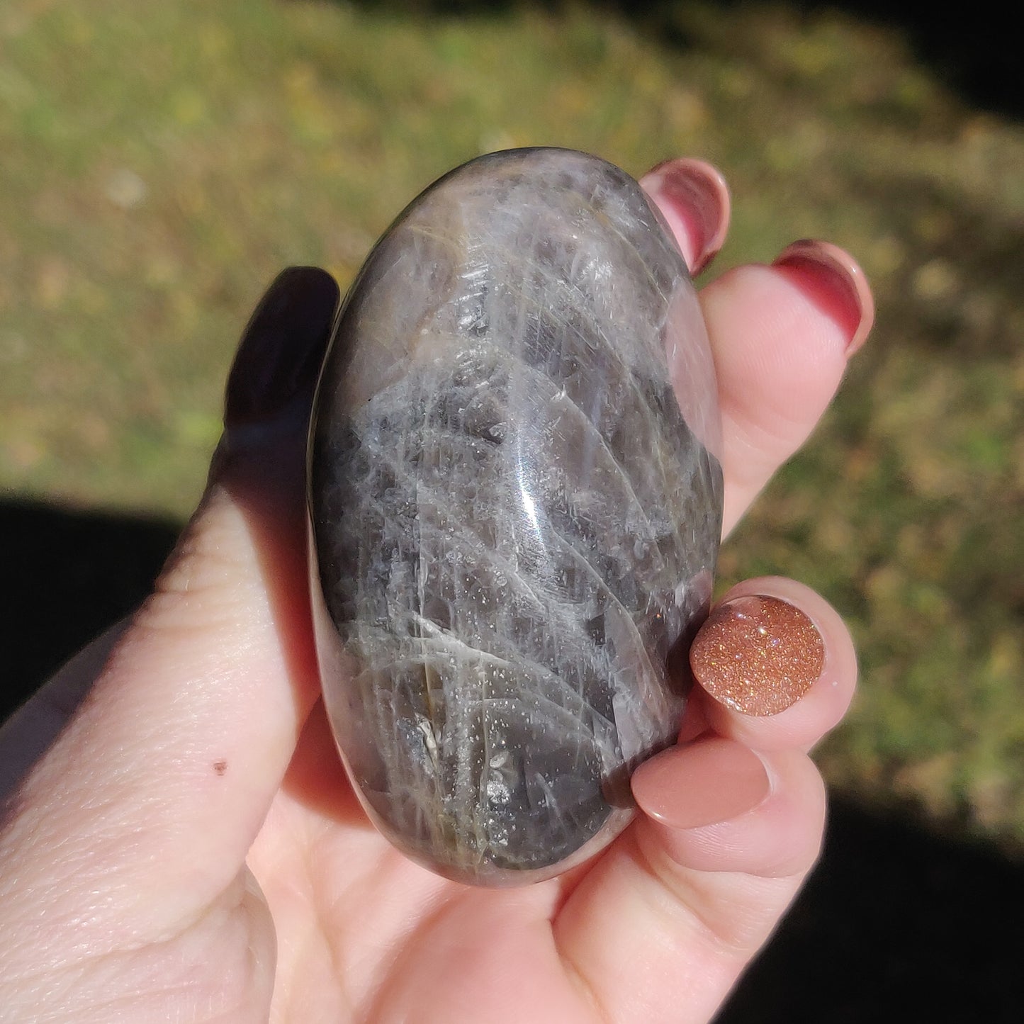 Black Moonstone Palm Stone with Rainbows (#10)