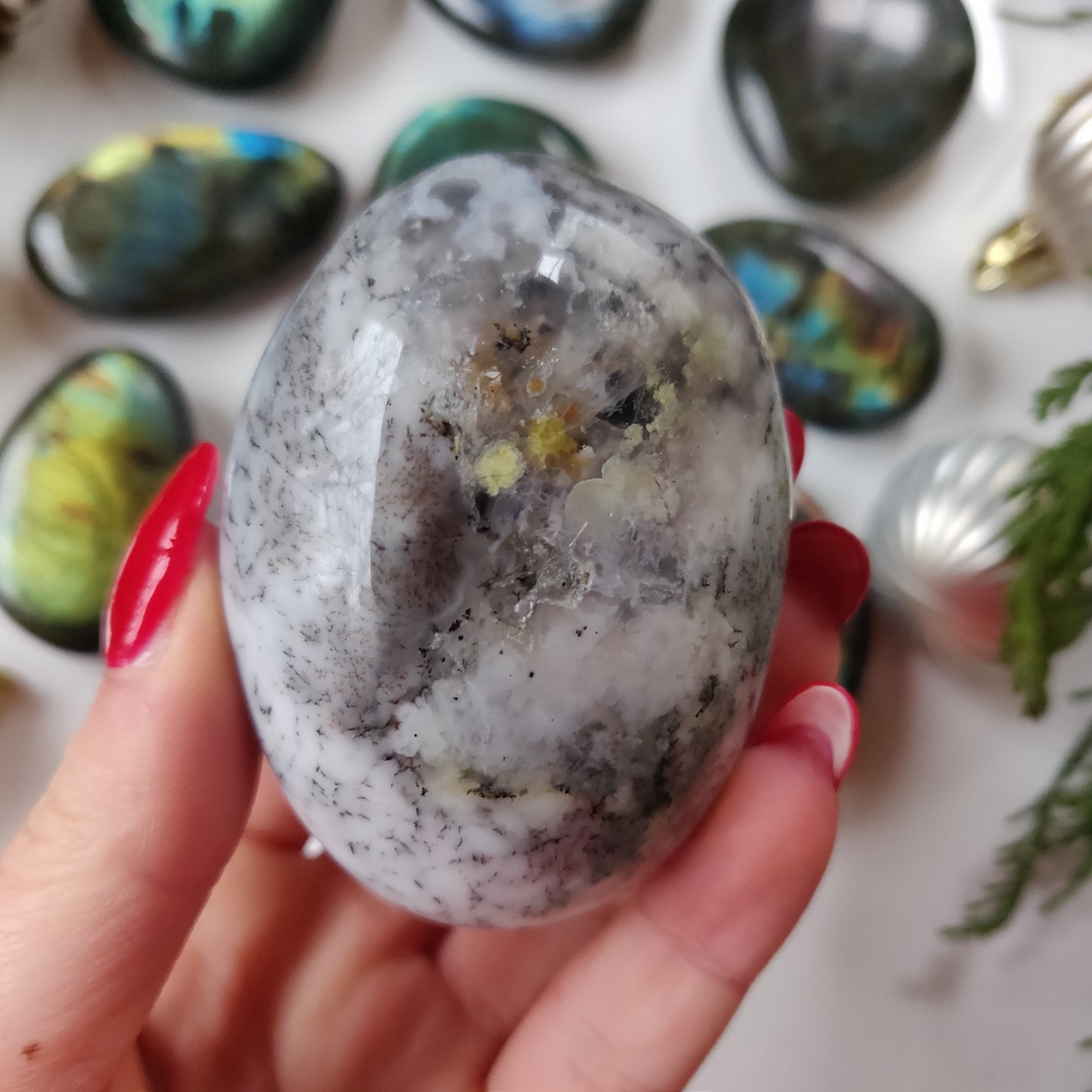 Dendritic Opal Palm Stone (#24)